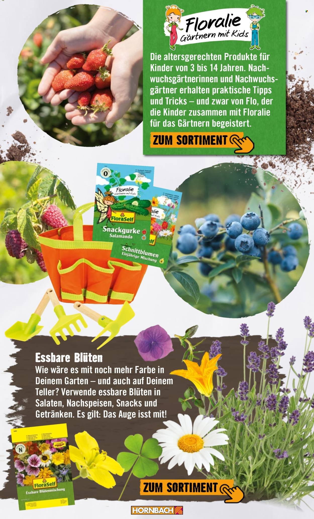 HORNBACH Angebote - Garten