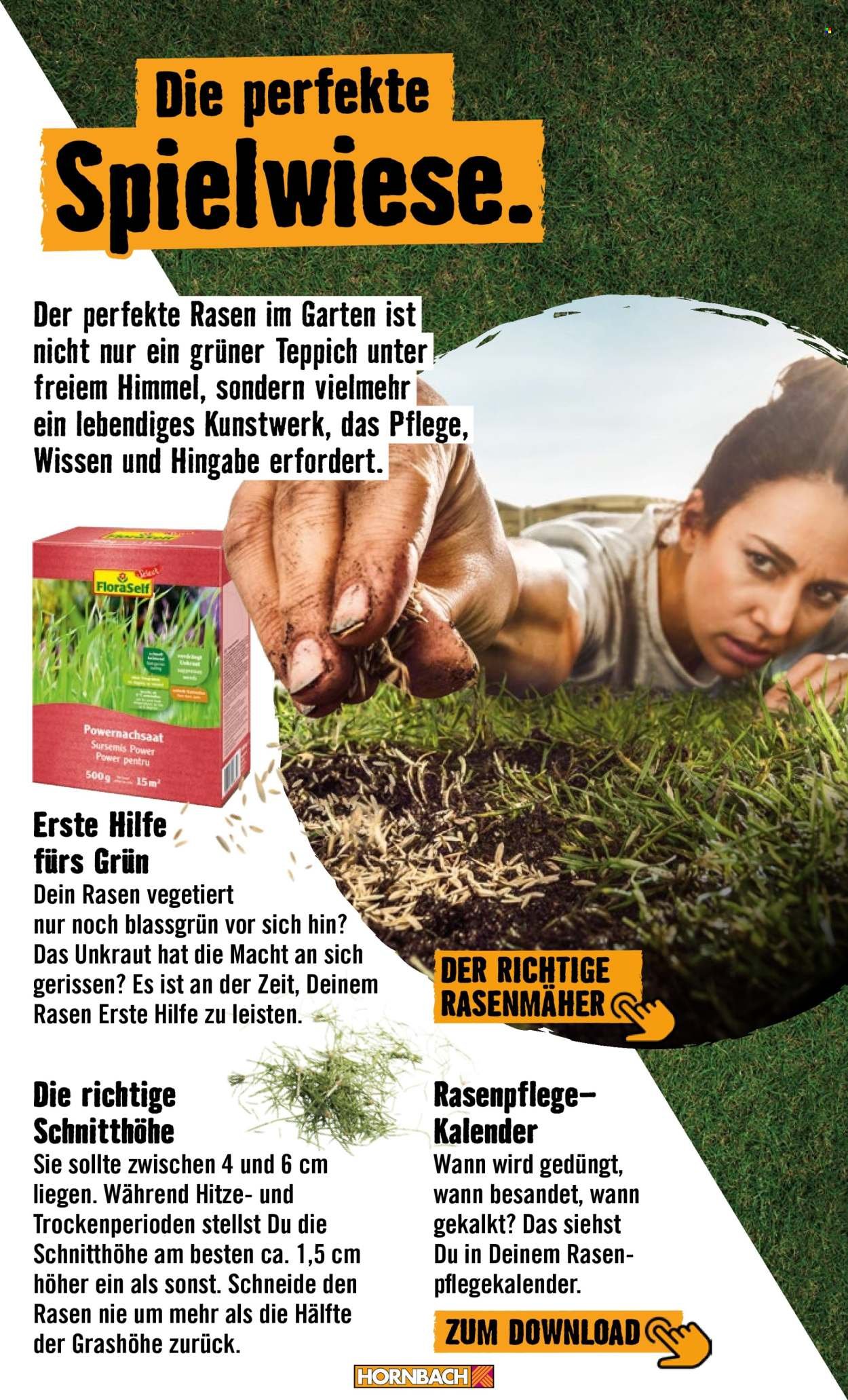 HORNBACH Angebote - Garten