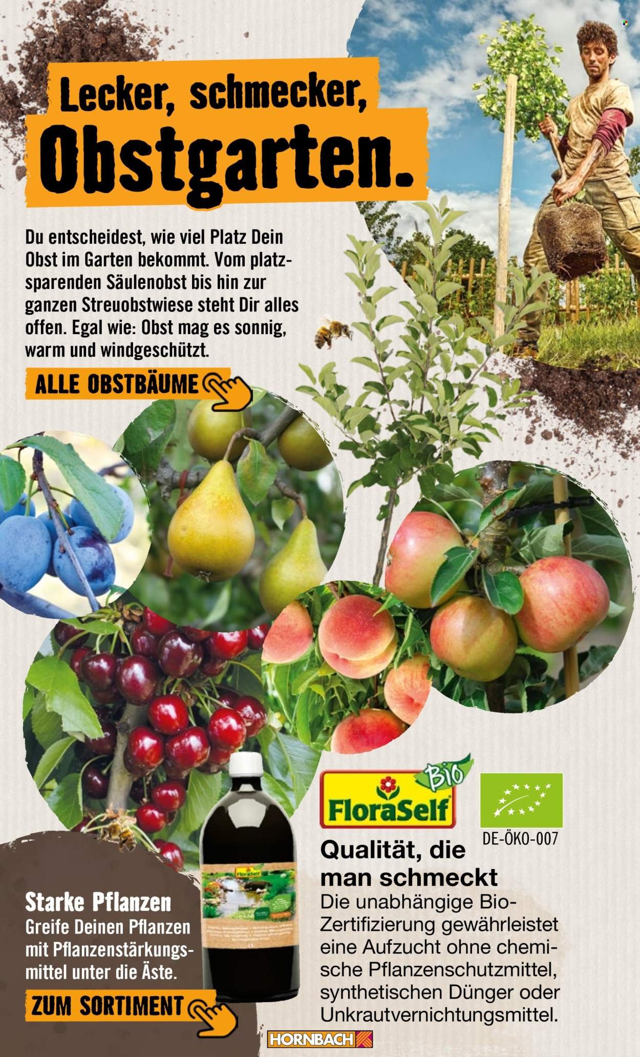 HORNBACH Angebote - Garten