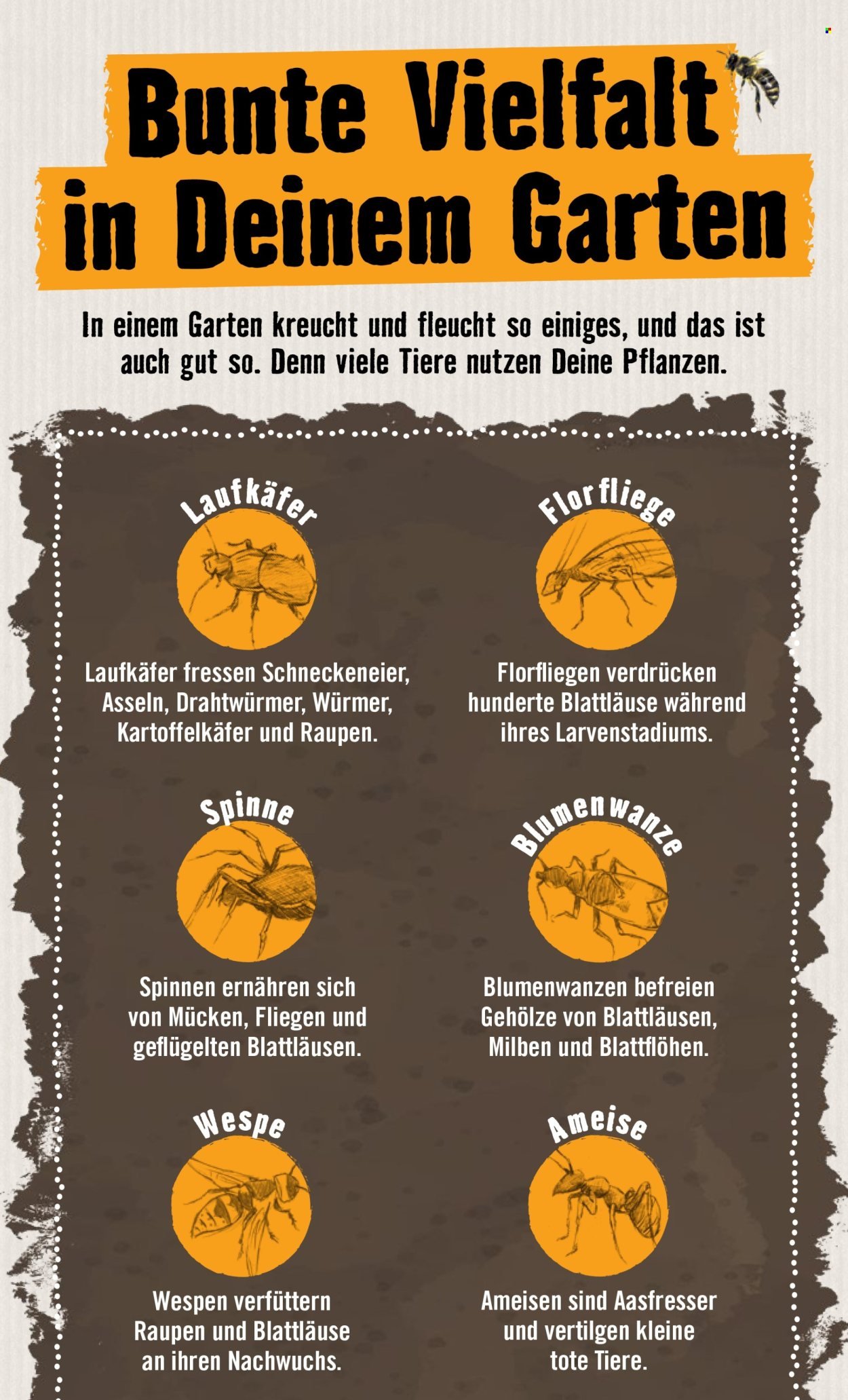 HORNBACH Angebote - Garten