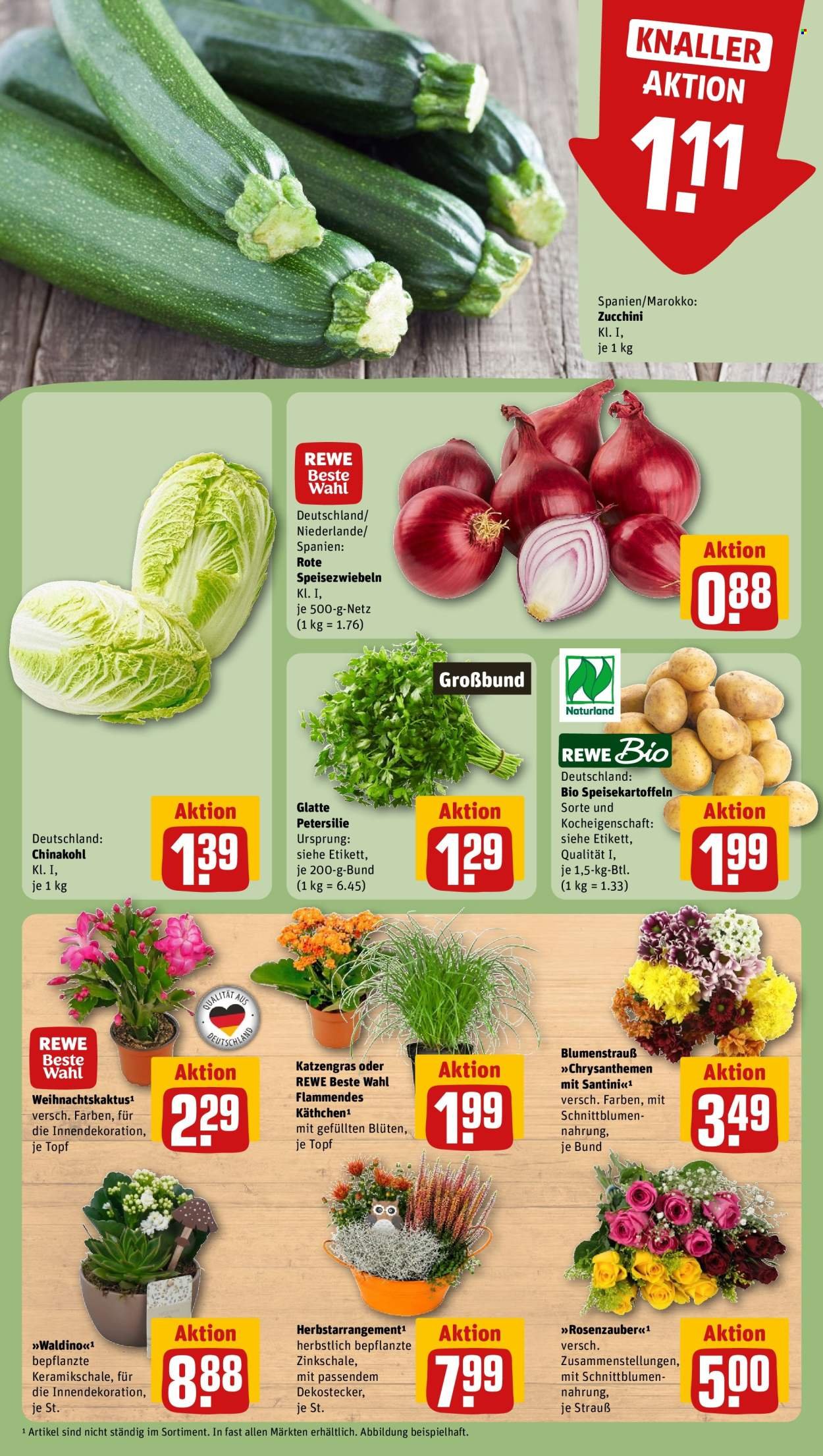 REWE Prospekt - Ab Montag 26.10.2026