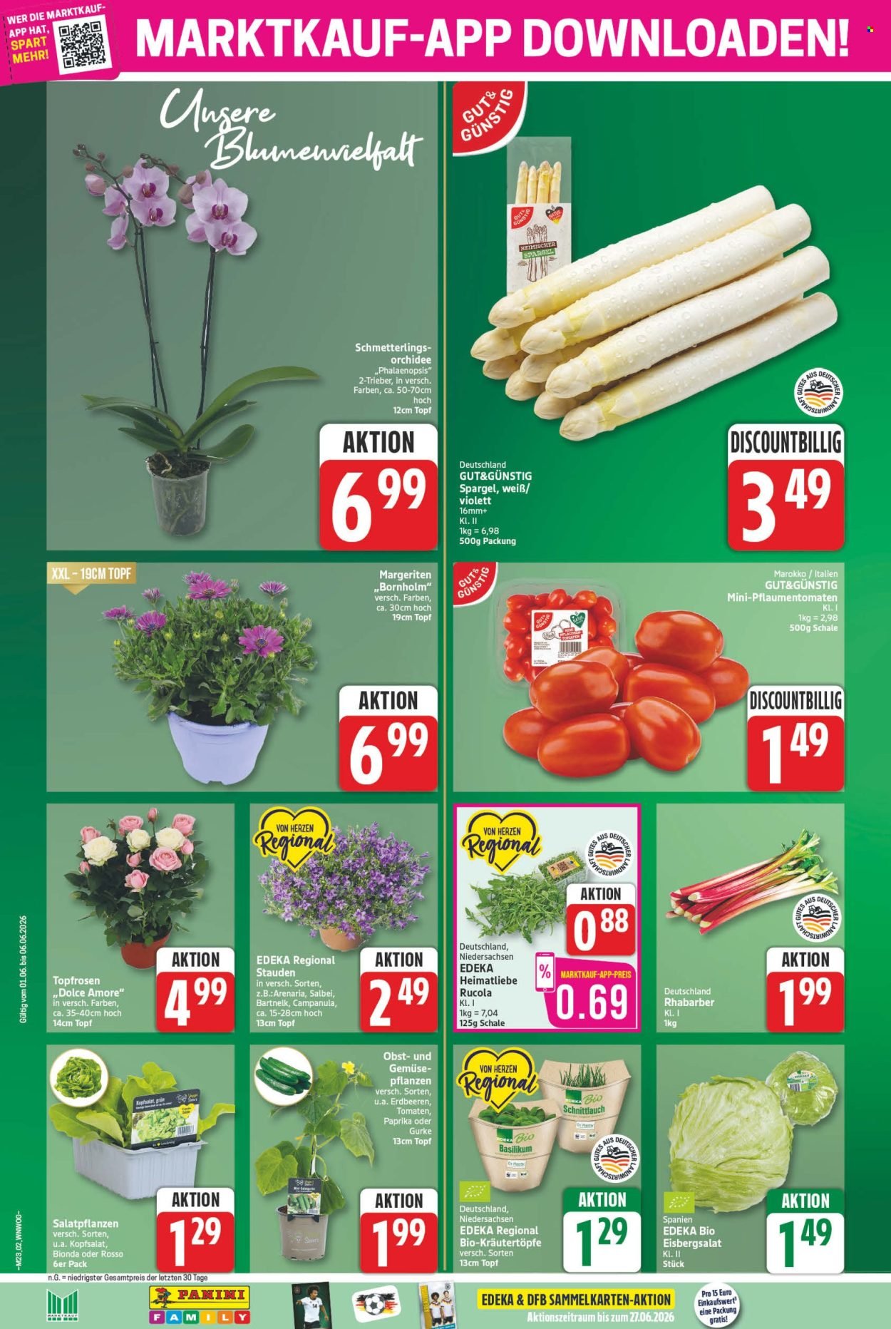 MARKTKAUF Prospekt - Ab Montag 1.06.2026