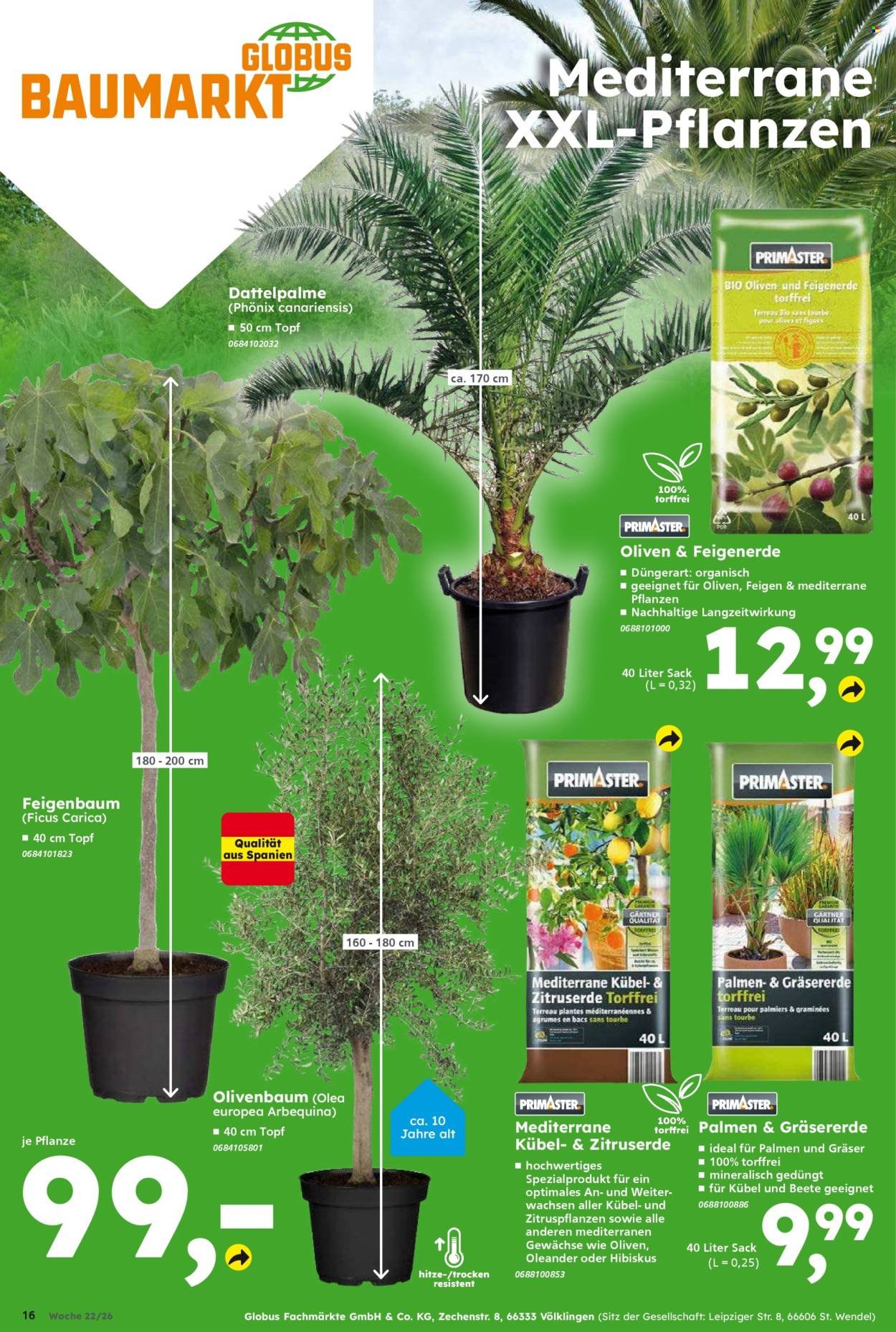 GLOBUS BAUMARKT Prospekt - Ab Dienstag 26.05.2026 (2026-05-26 - 2026-05-30)