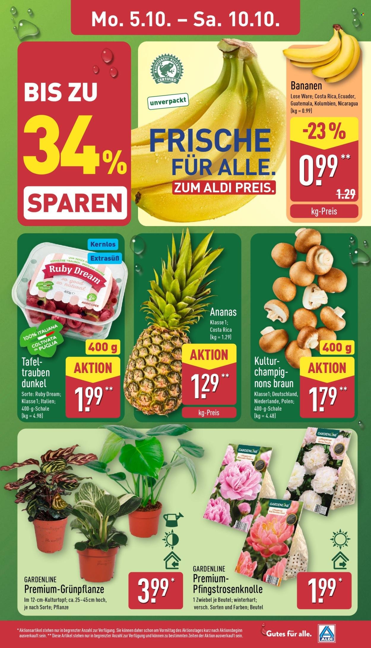 ALDI NORD Prospekt - Italienische Woche