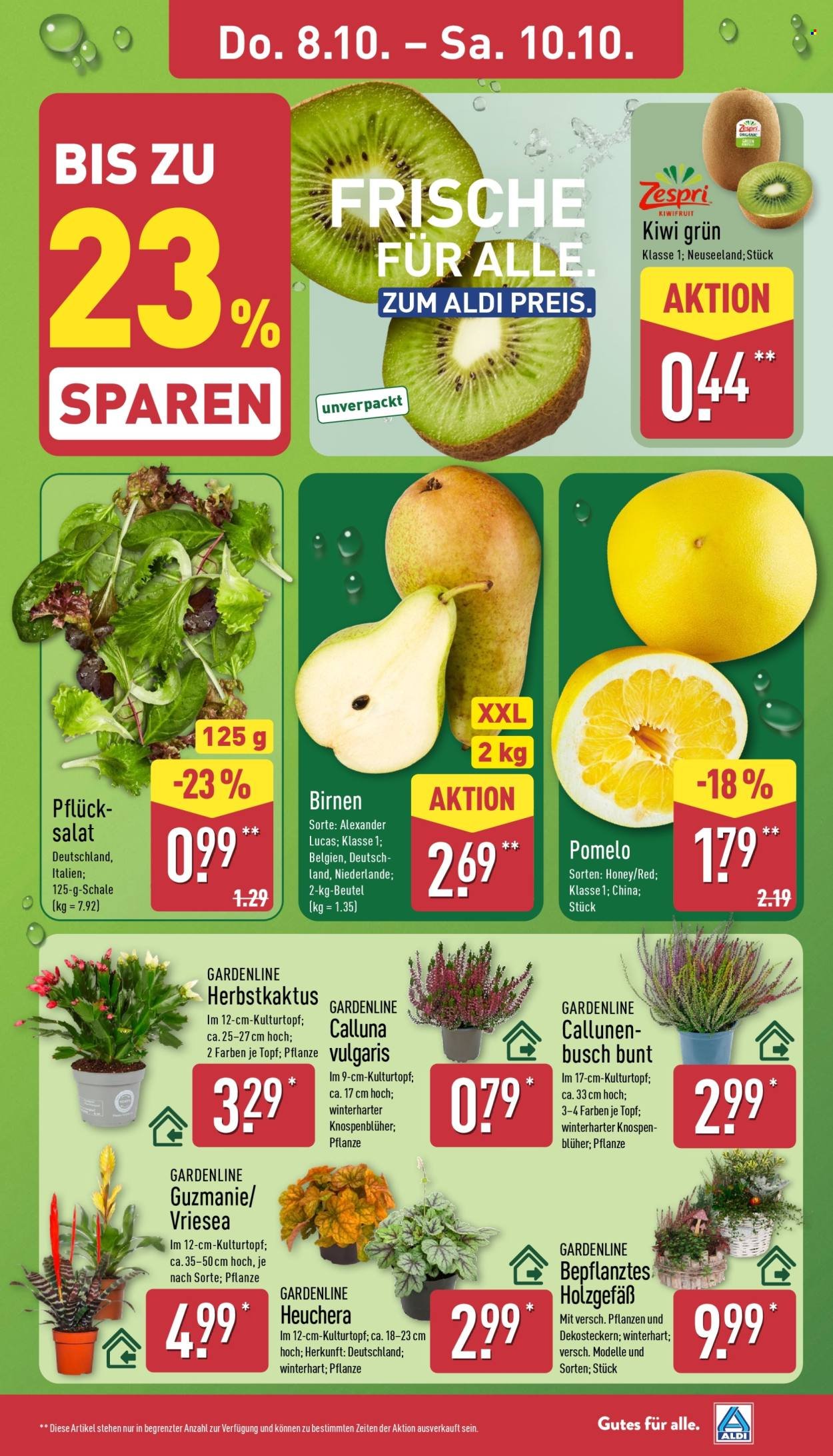 ALDI NORD Prospekt - Italienische Woche