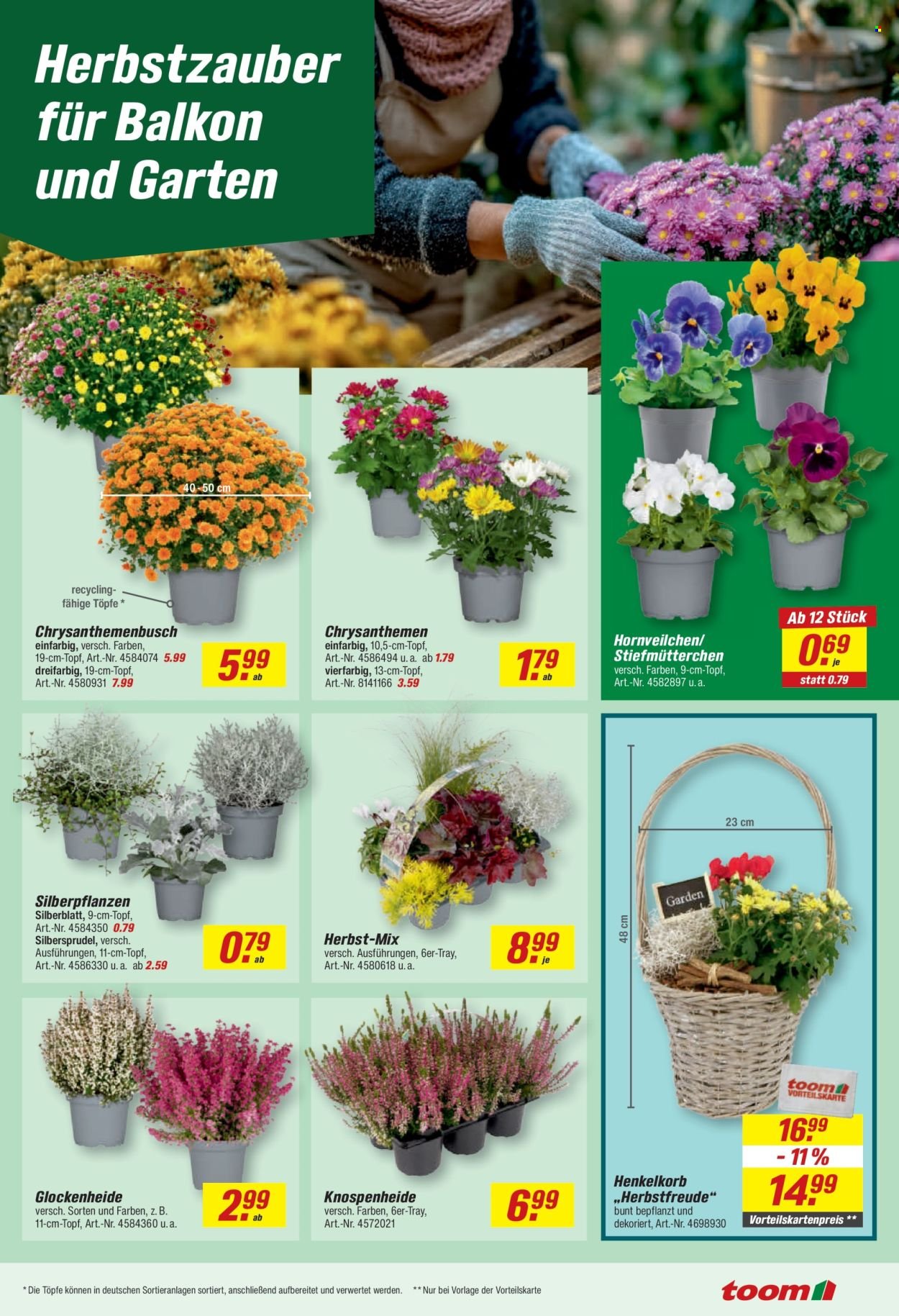 TOOM BAUMARKT Prospekt - Ab Montag 28.09.2026