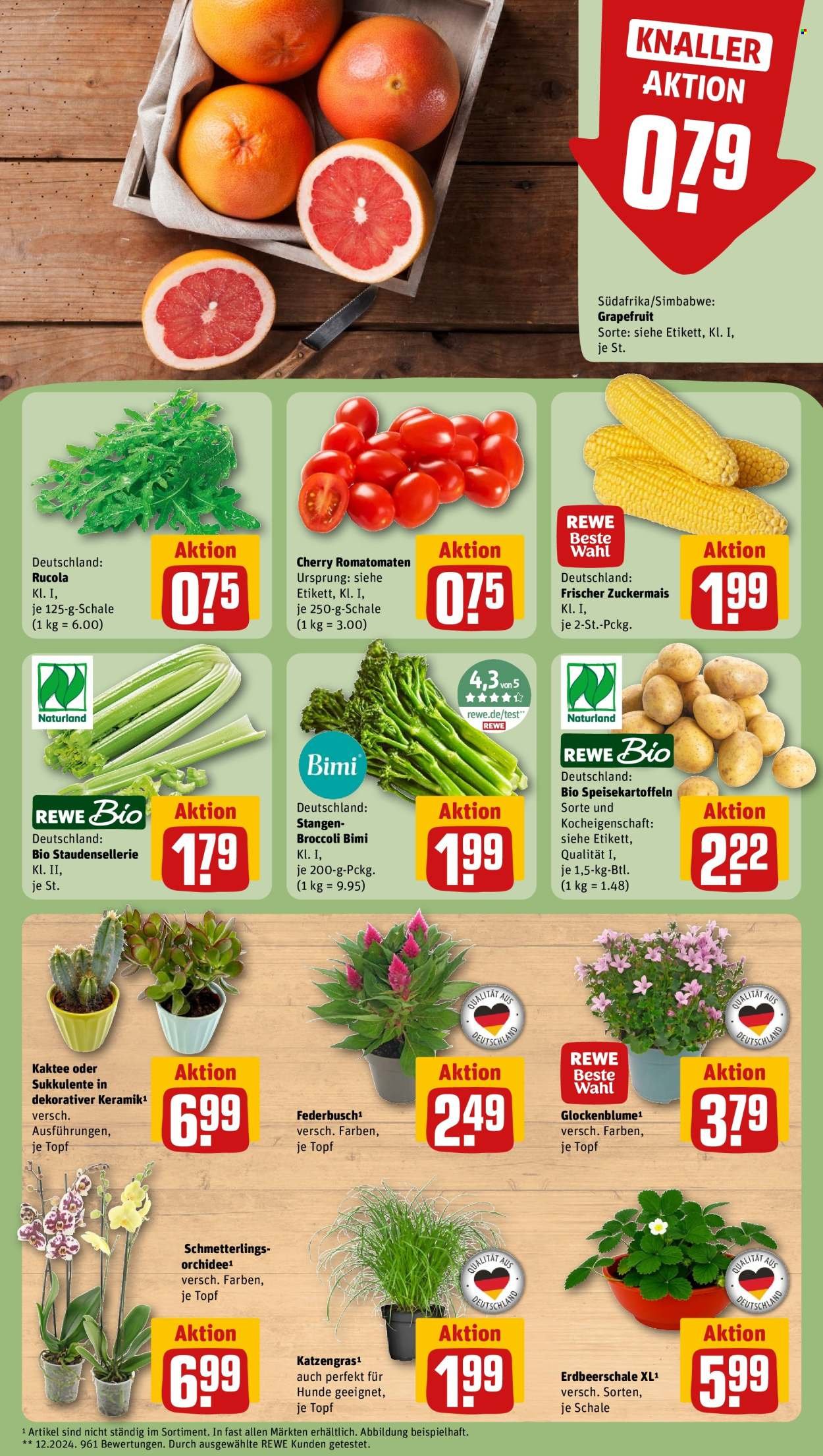 REWE Prospekt - Ab Montag 27.07.2026
