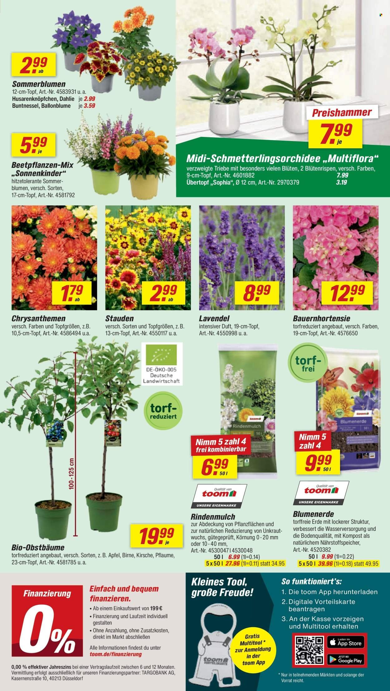 TOOM BAUMARKT Prospekt - Ab Samstag 11.07.2026