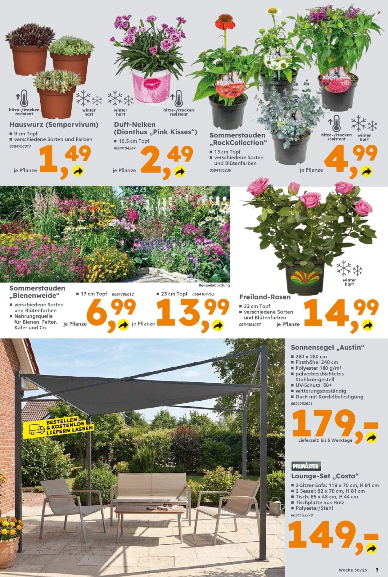 GLOBUS BAUMARKT Prospekt - Ab Montag 20.07.2026