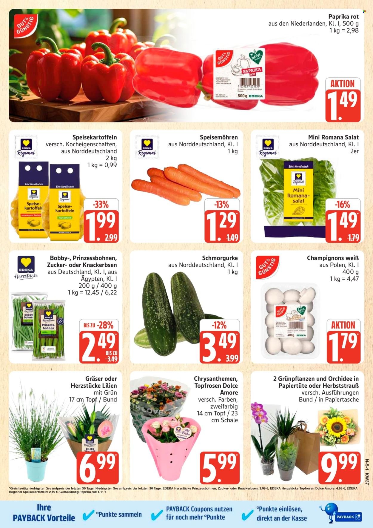 MARKTKAUF Prospekt - Ab Montag 7.09.2026