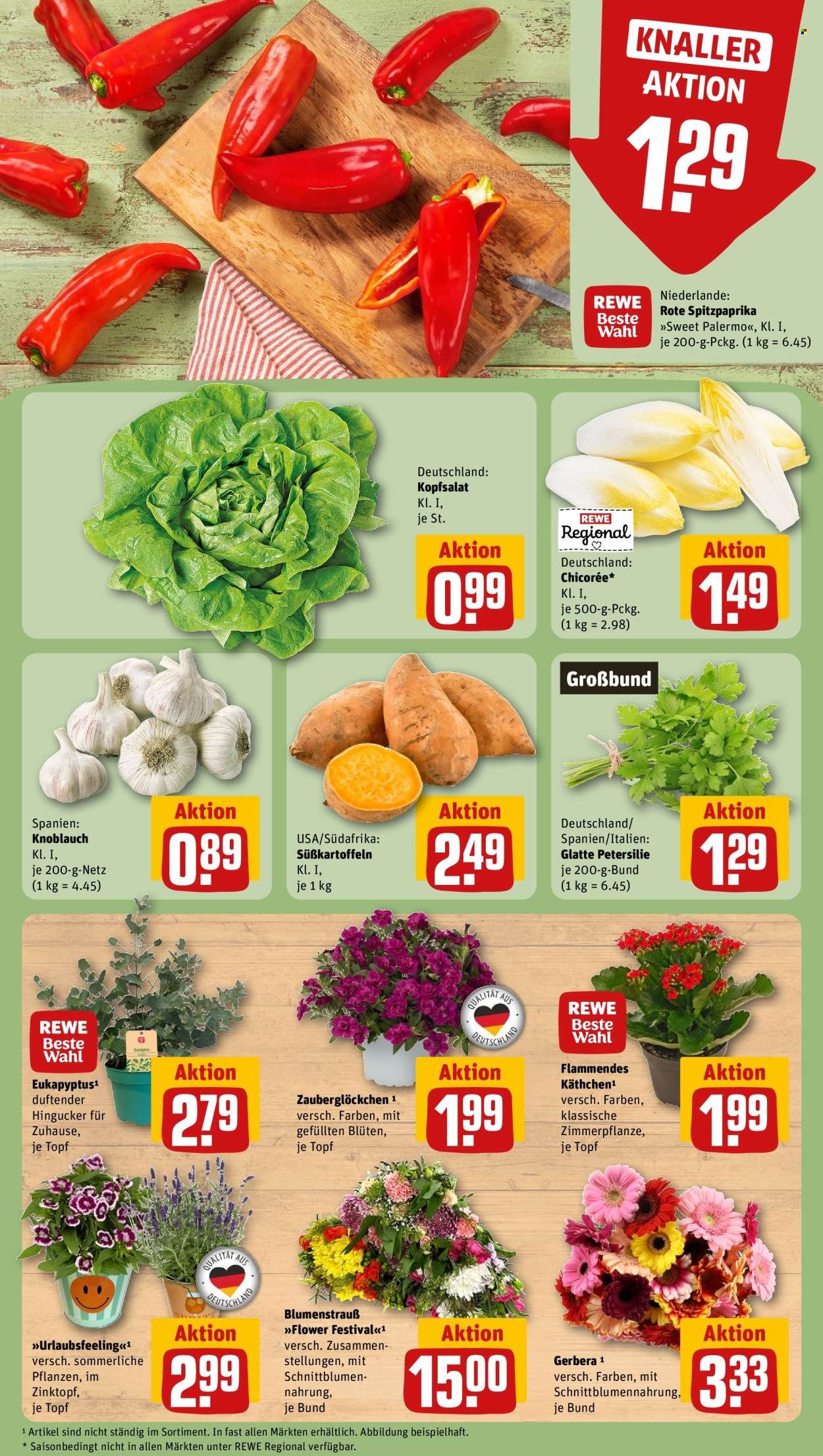 REWE Prospekt - Ab Montag 8.06.2026
