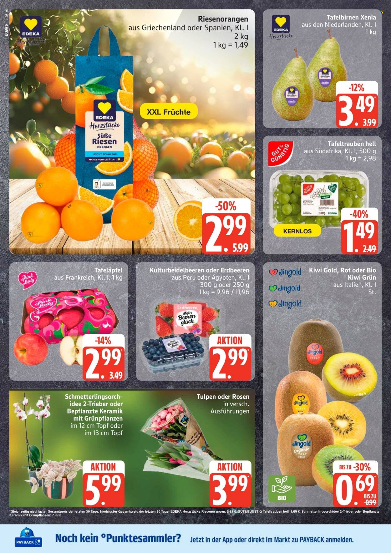 MARKTKAUF Prospekt - Ab Montag 12.01.2026