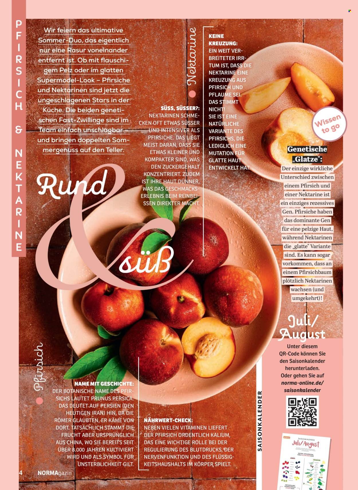NORMA Prospekt - NORMAgazin