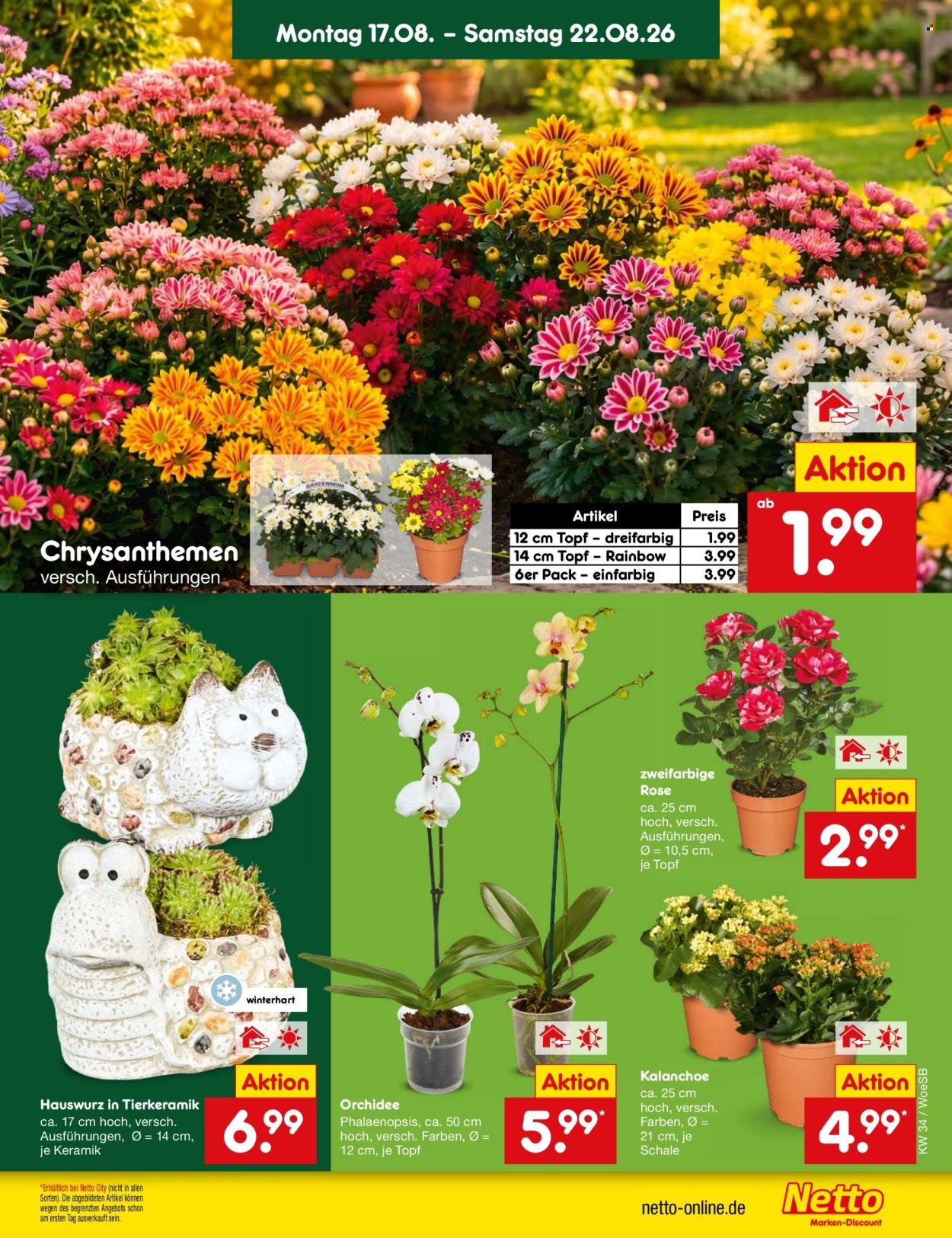 NETTO MARKEN-DISCOUNT Prospekt - Ab Montag 17.08.2026
