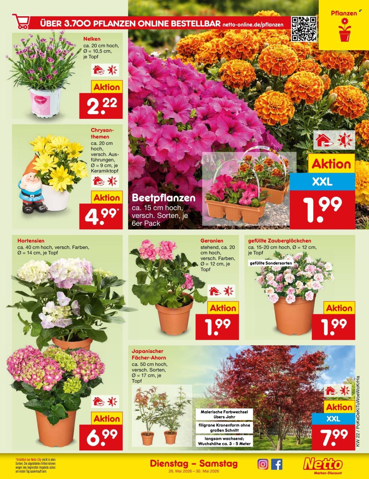 NETTO MARKEN-DISCOUNT Prospekt - Ab Dienstag 26.05.2026 (2026-05-26 - 2026-05-30)