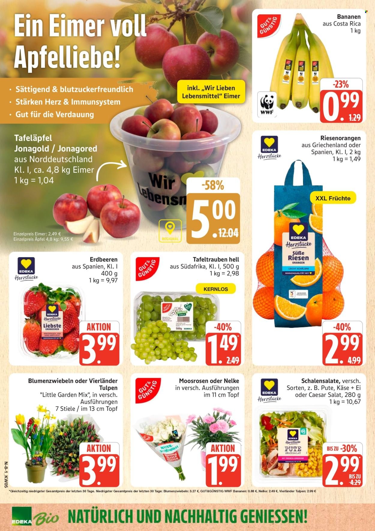 MARKTKAUF Prospekt - Ab Montag 26.01.2026