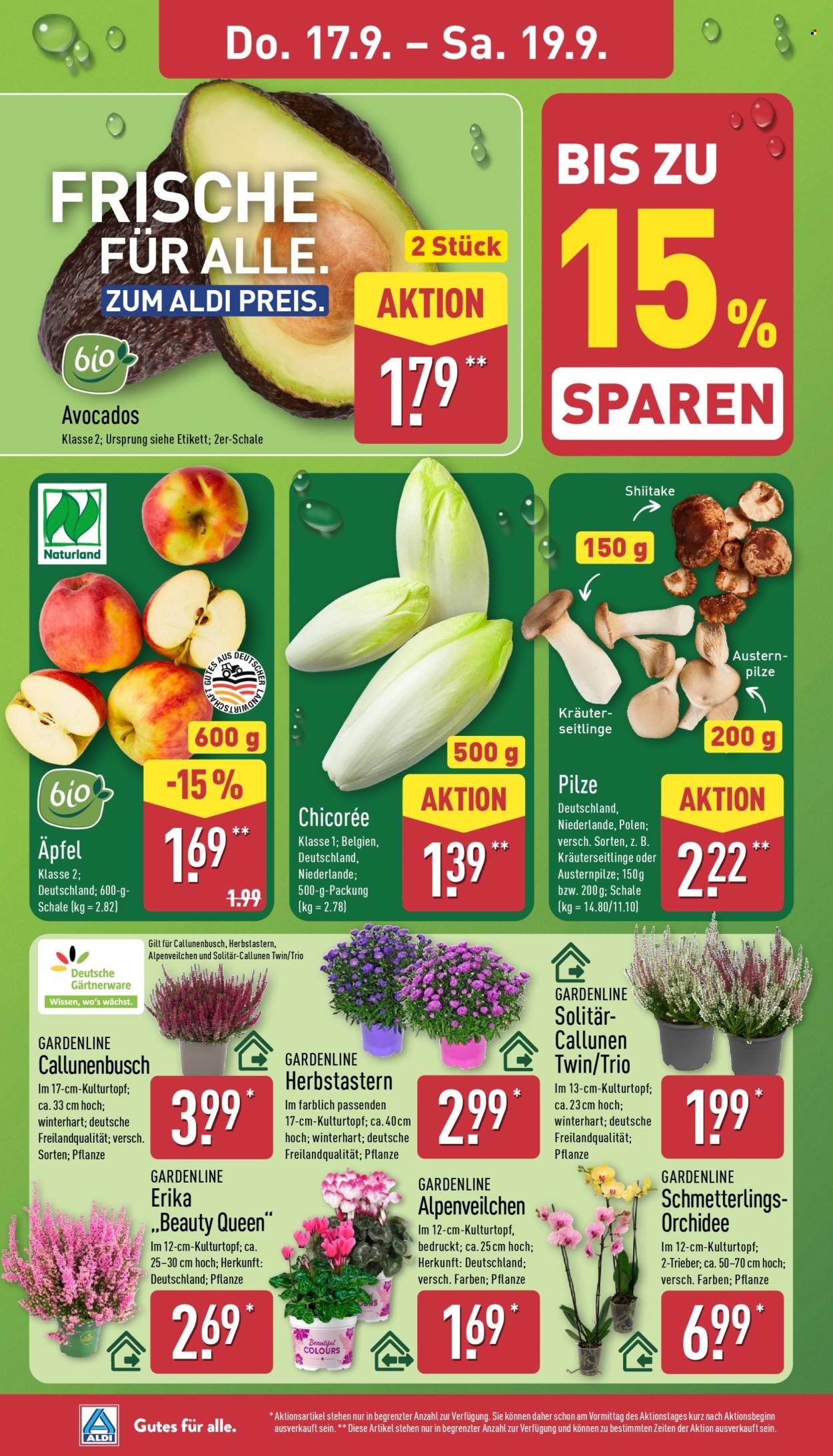ALDI NORD Prospekt - Ab Montag 14.09.2026