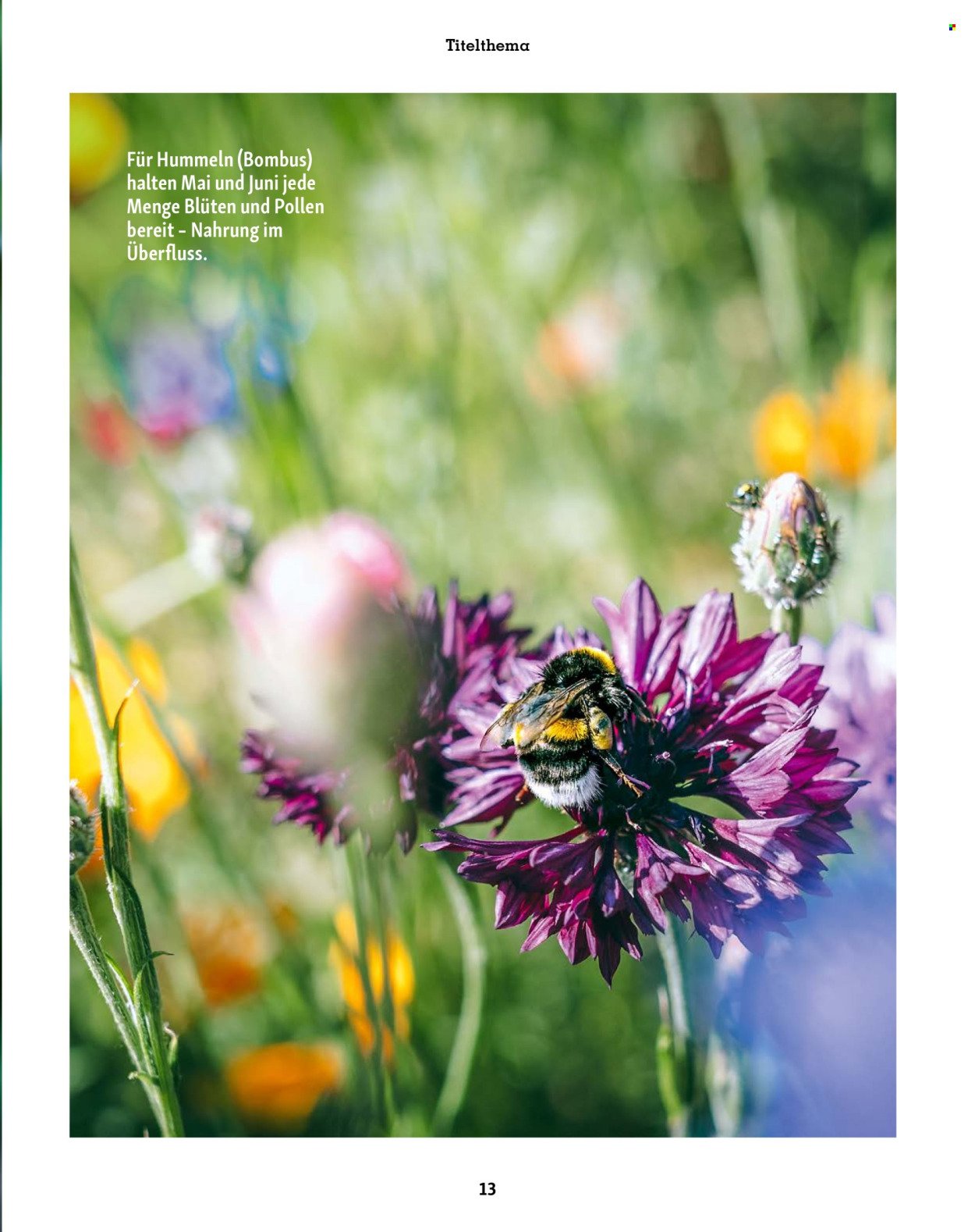 FRESSNAPF Prospekt - Magazin