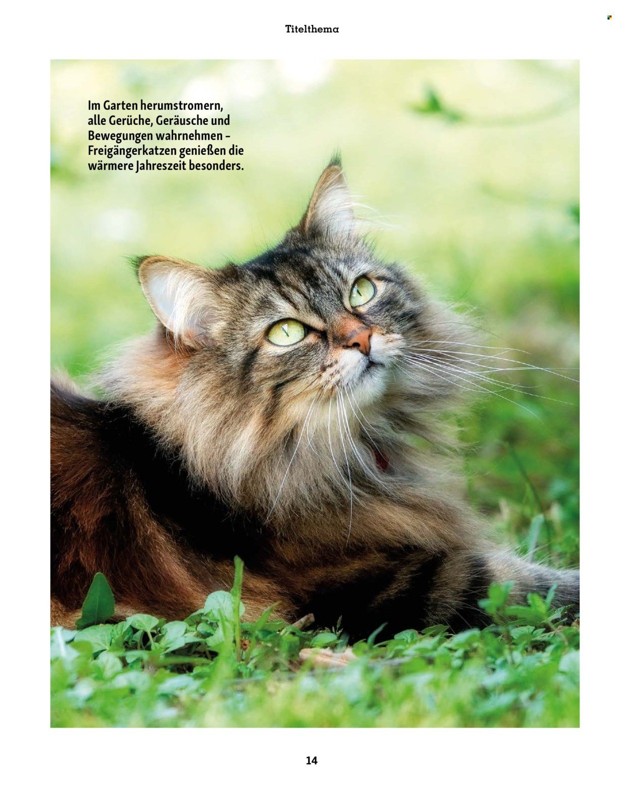 FRESSNAPF Prospekt - Magazin
