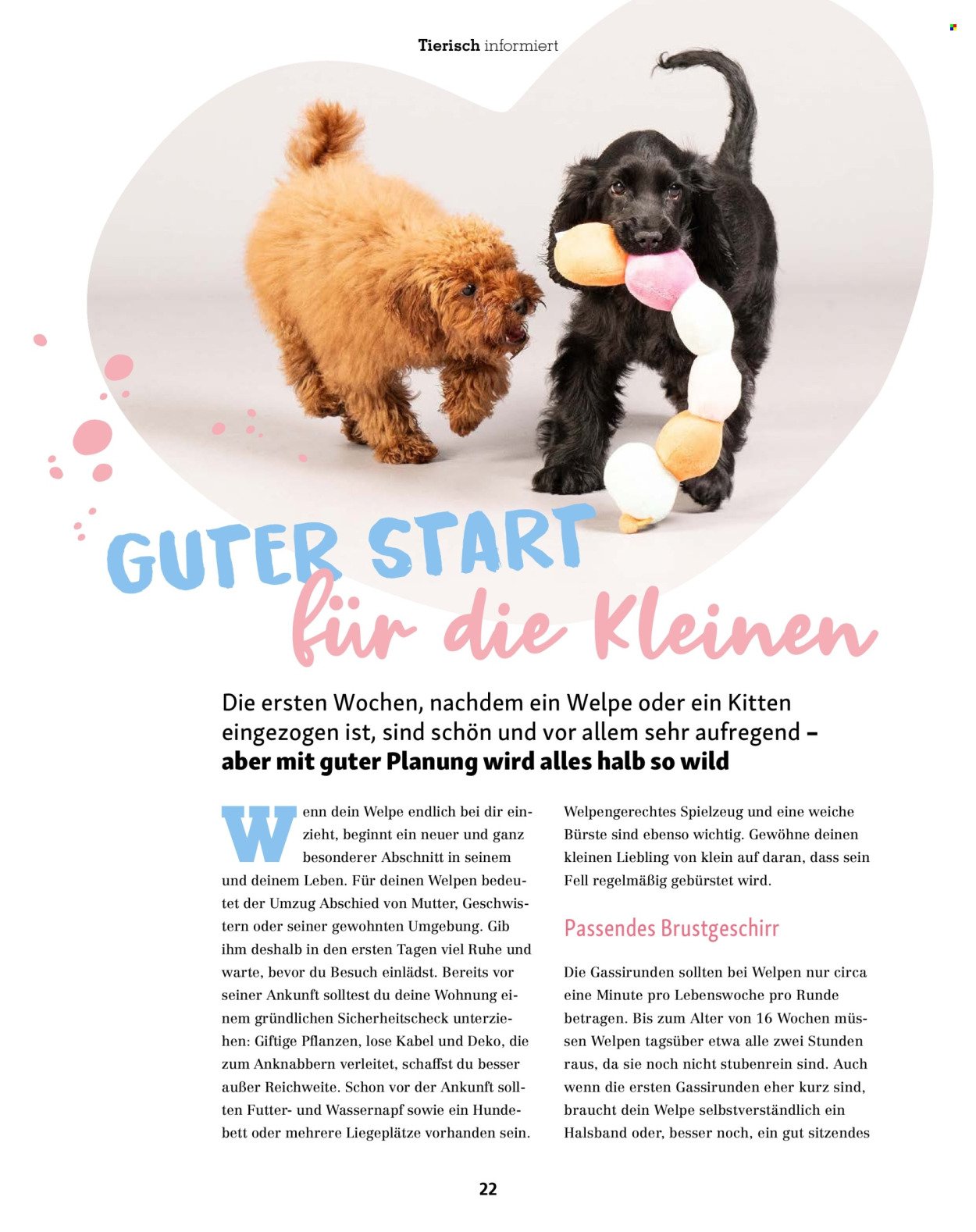 FRESSNAPF Prospekt - Magazin