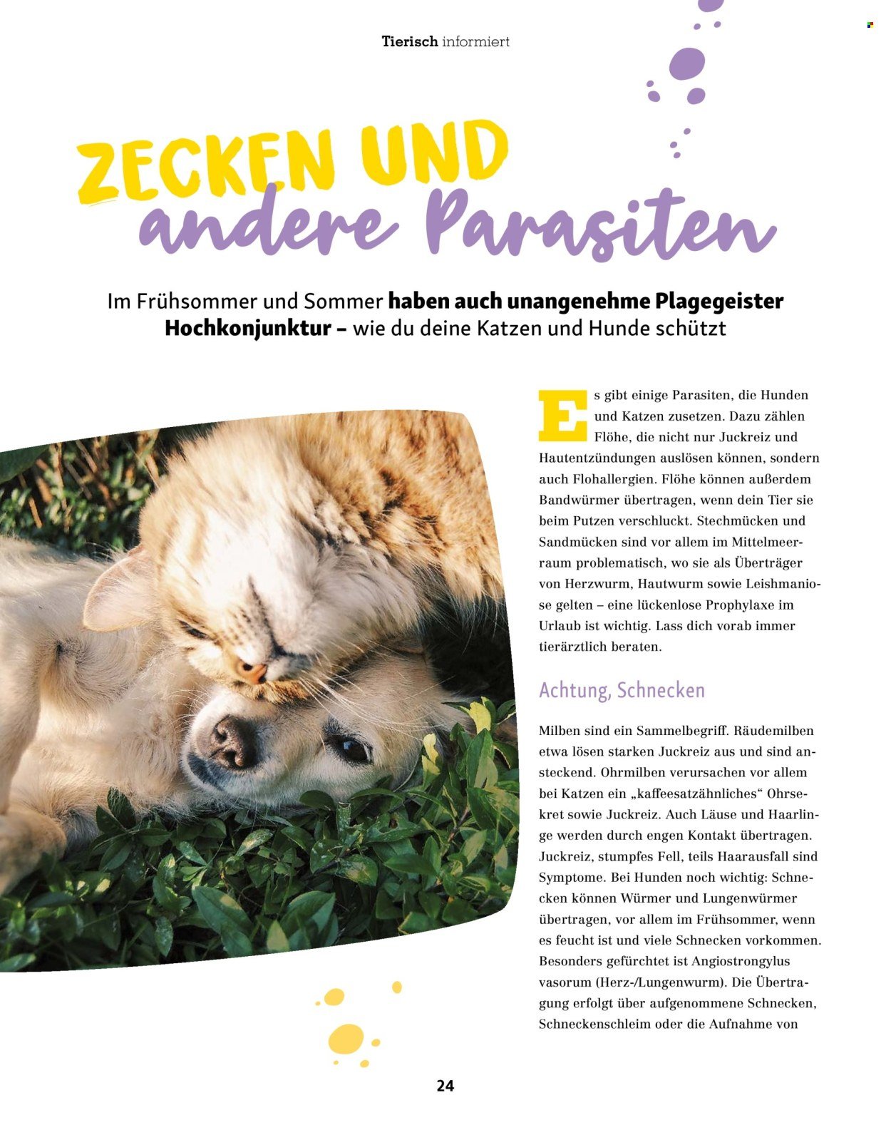 FRESSNAPF Prospekt - Magazin
