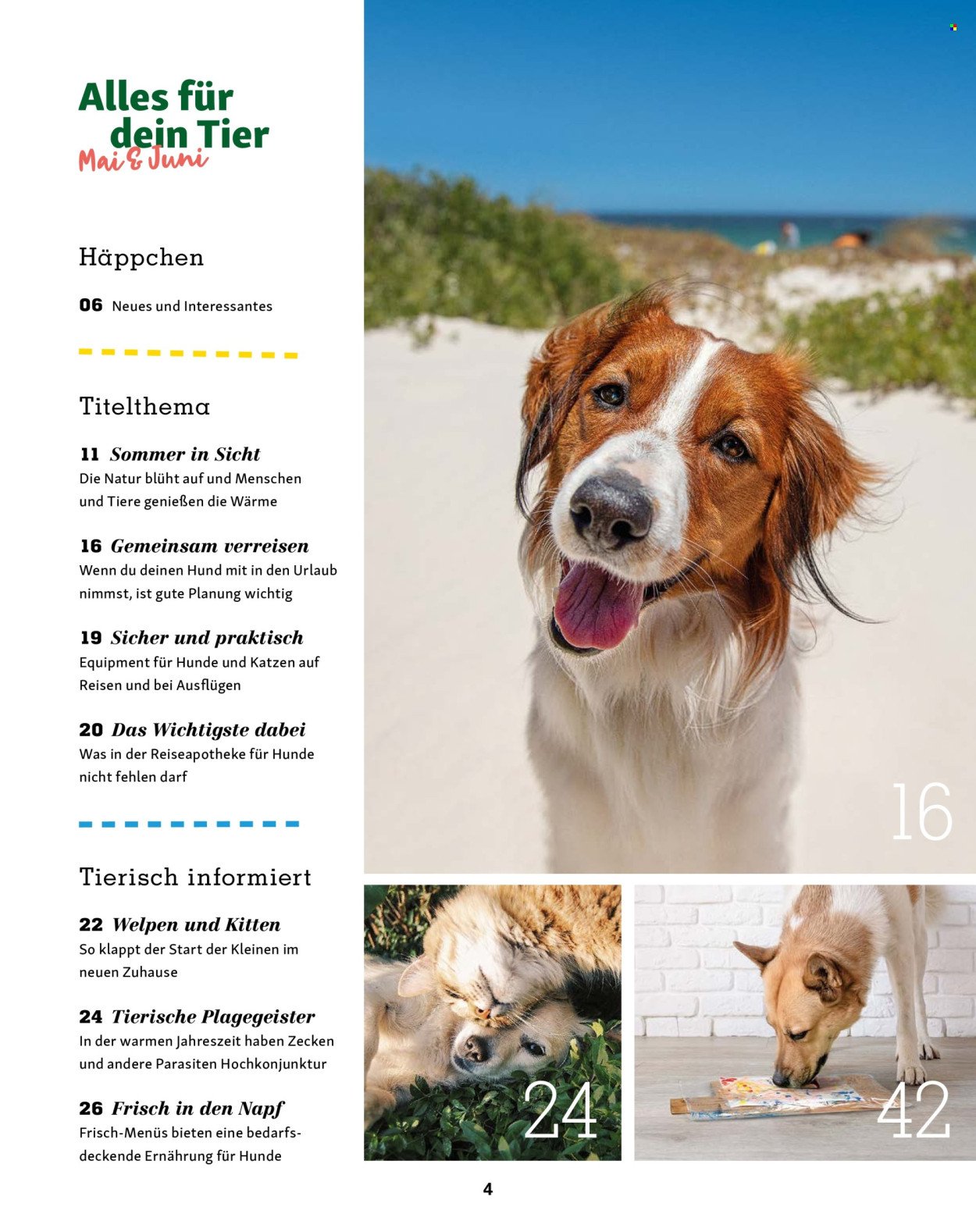 FRESSNAPF Prospekt - Magazin