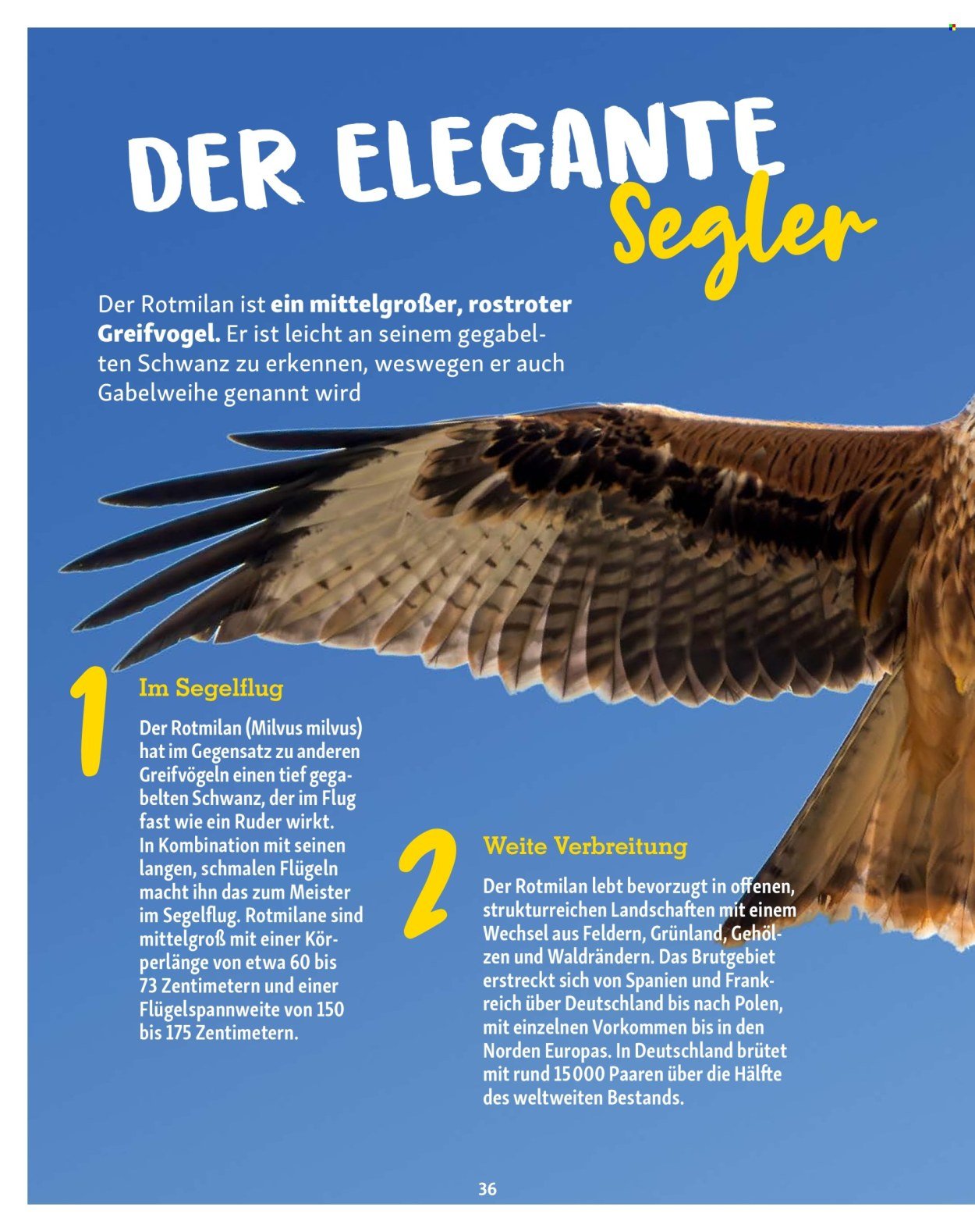 FRESSNAPF Prospekt - Magazin