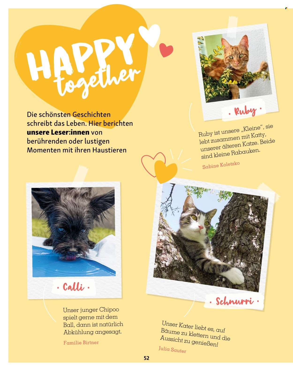FRESSNAPF Prospekt - Magazin