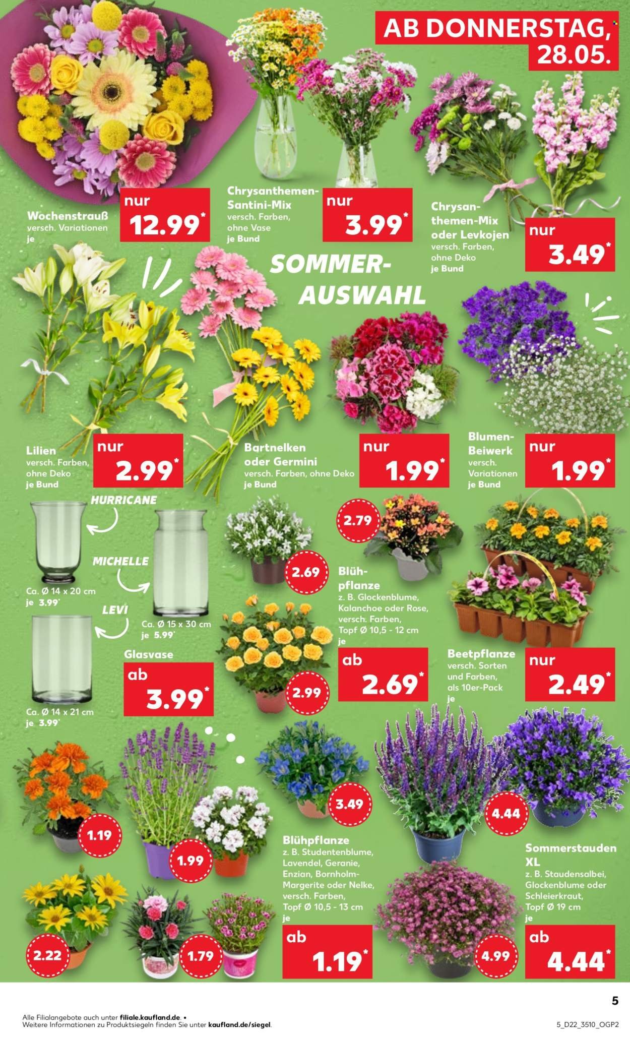 KAUFLAND Prospekt - Ab Donnerstag 28.05.2026 (2026-05-28 - 2026-06-03)