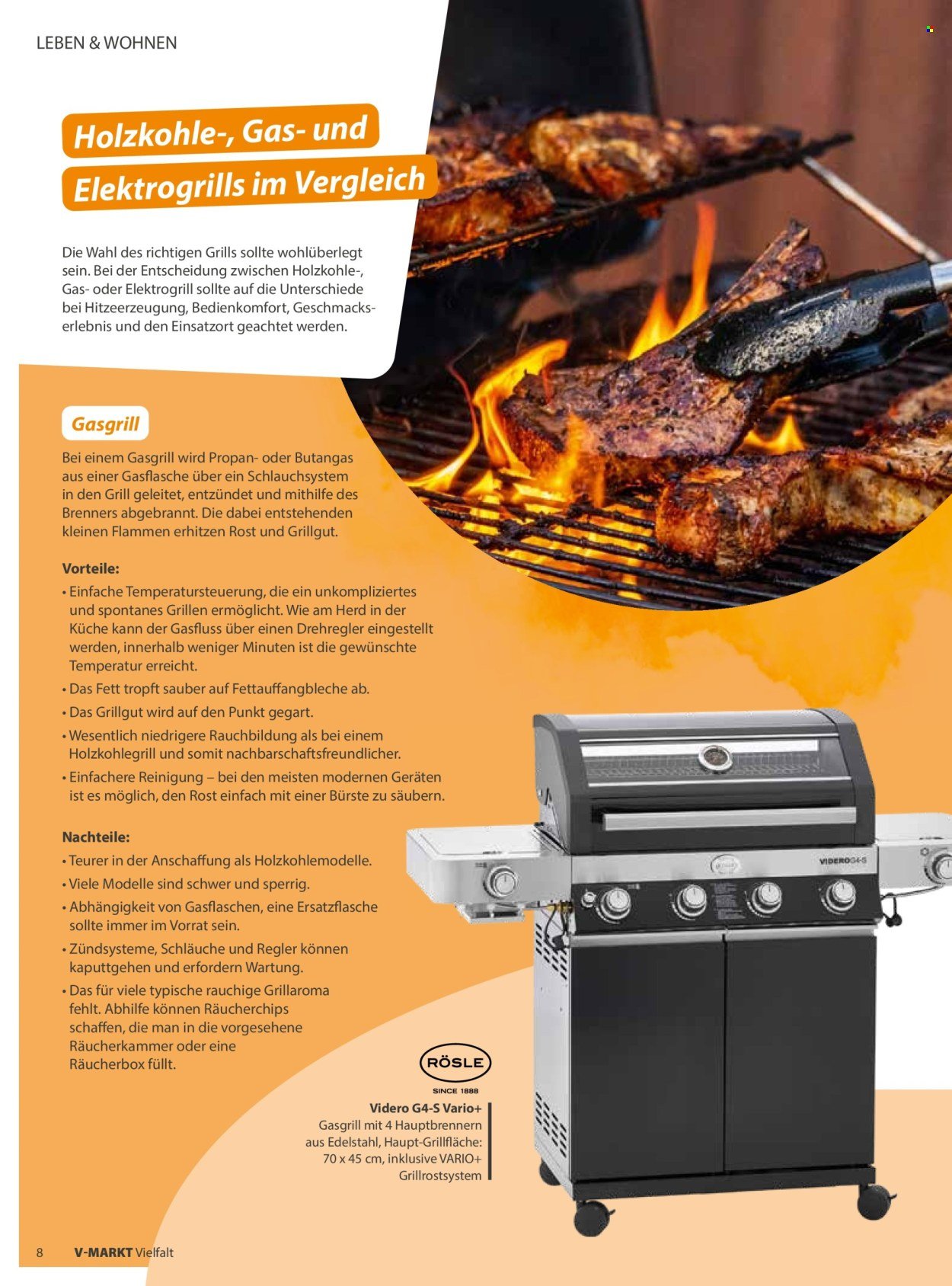 V-MARKT Prospekt - Vielfalt (2026-05-01 - 2026-06-30)