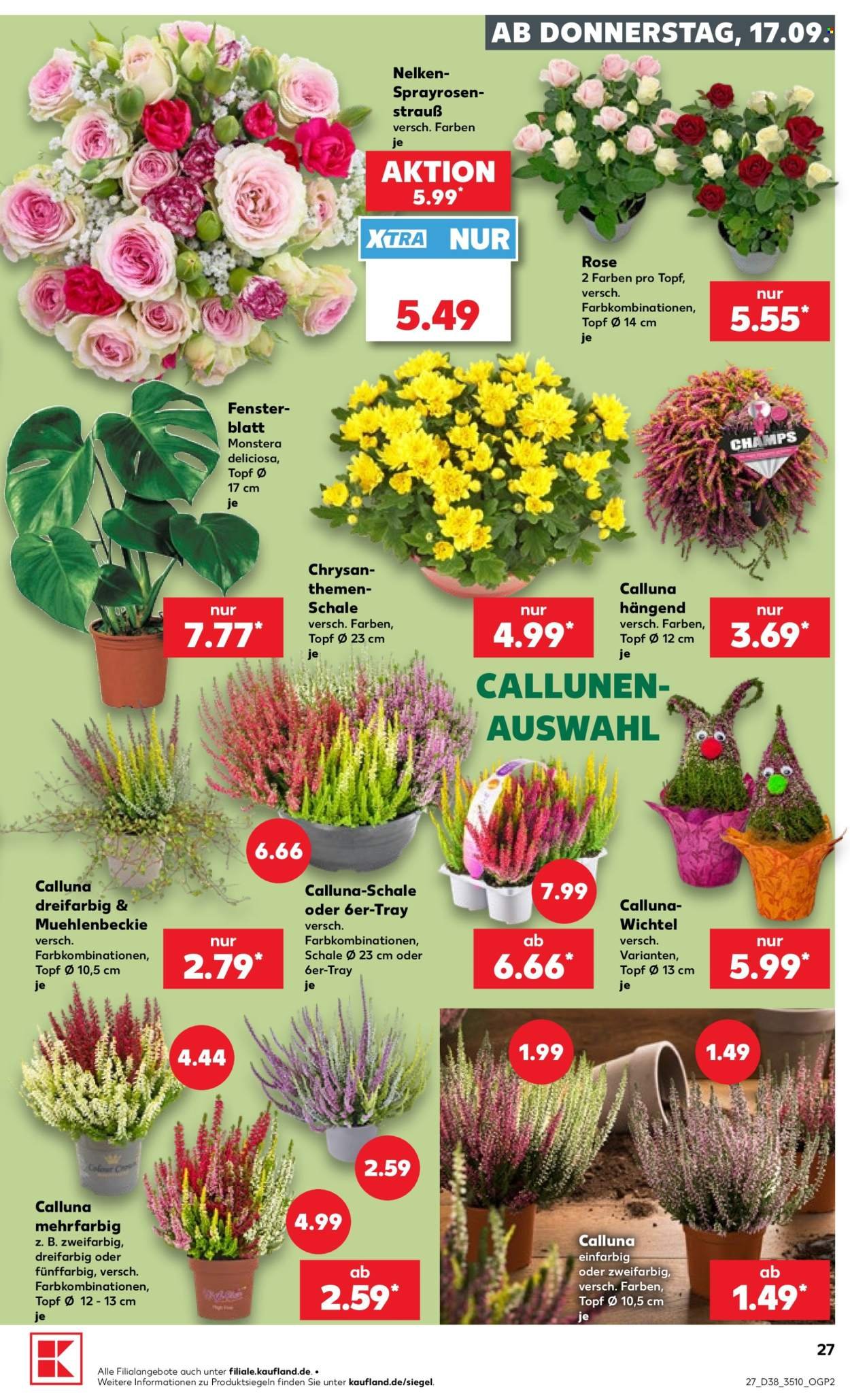 KAUFLAND Prospekt - Ab Donnerstag 17.09.2026