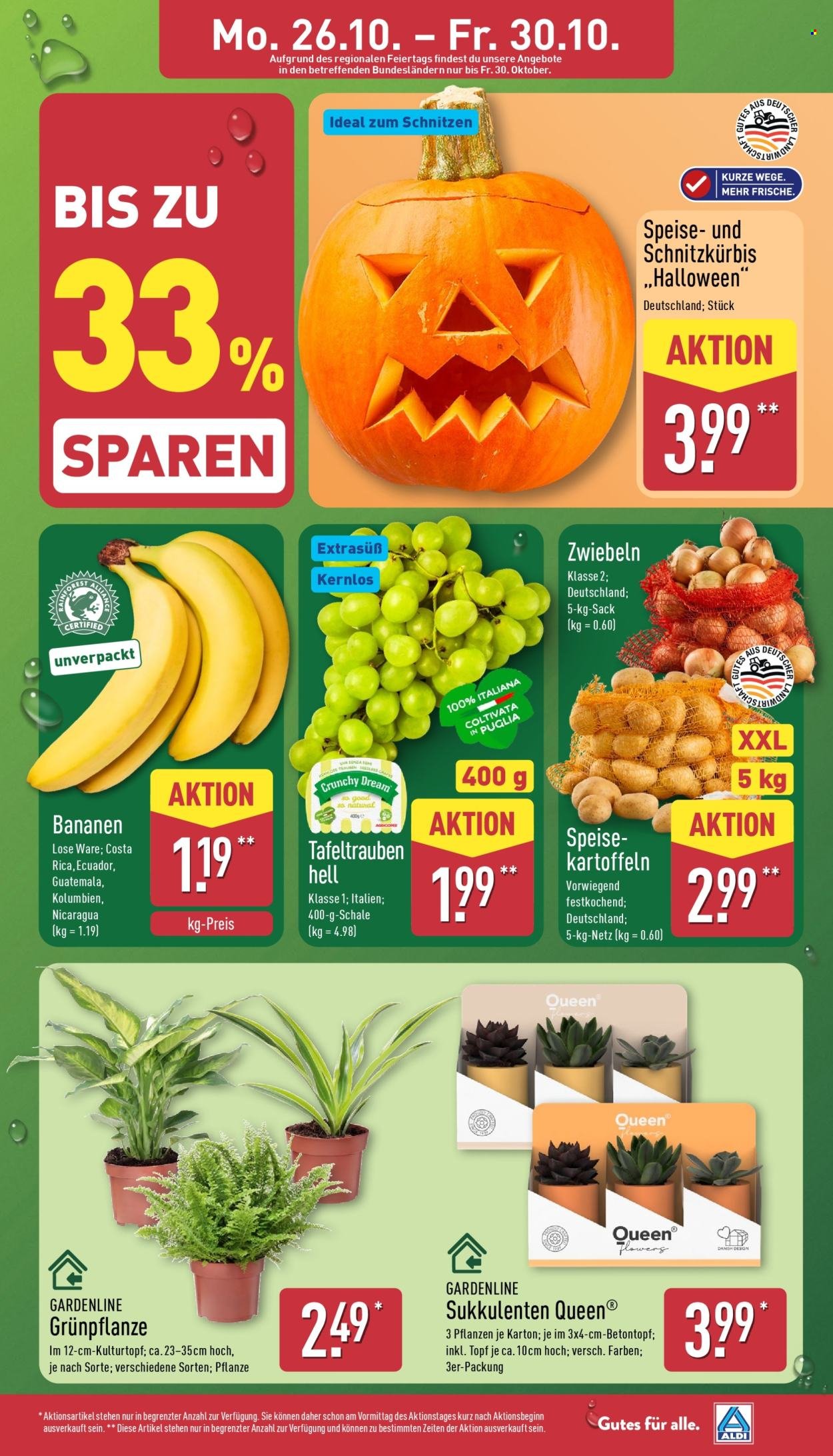 ALDI NORD Prospekt - Asia Woche