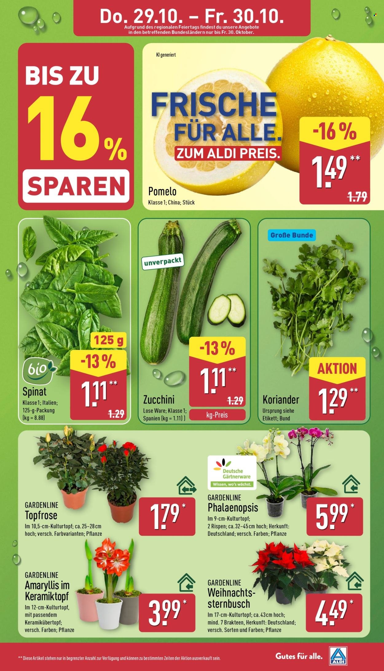 ALDI NORD Prospekt - Asia Woche