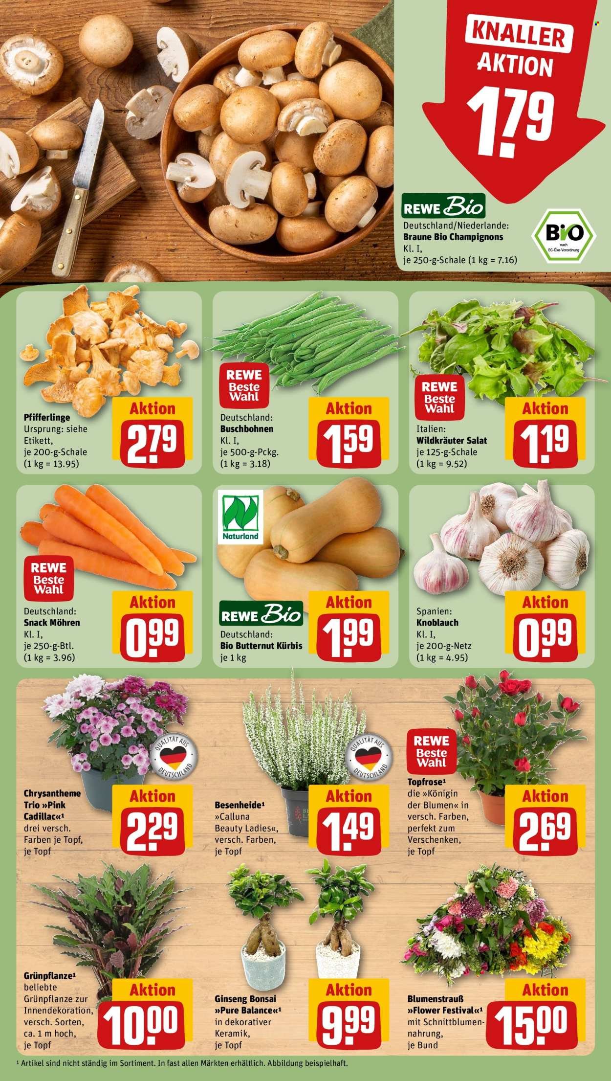 REWE Prospekt - Ab Montag 31.08.2026