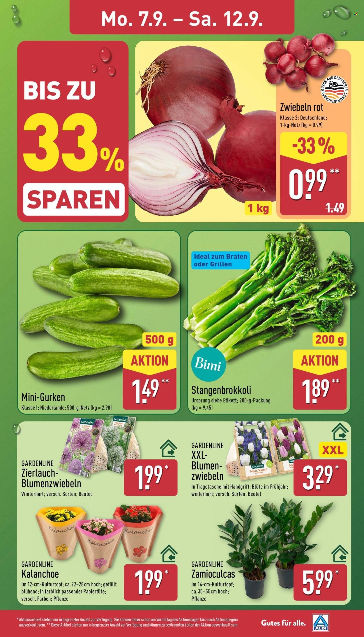 ALDI NORD Prospekt - Ab Montag 7.09.2026