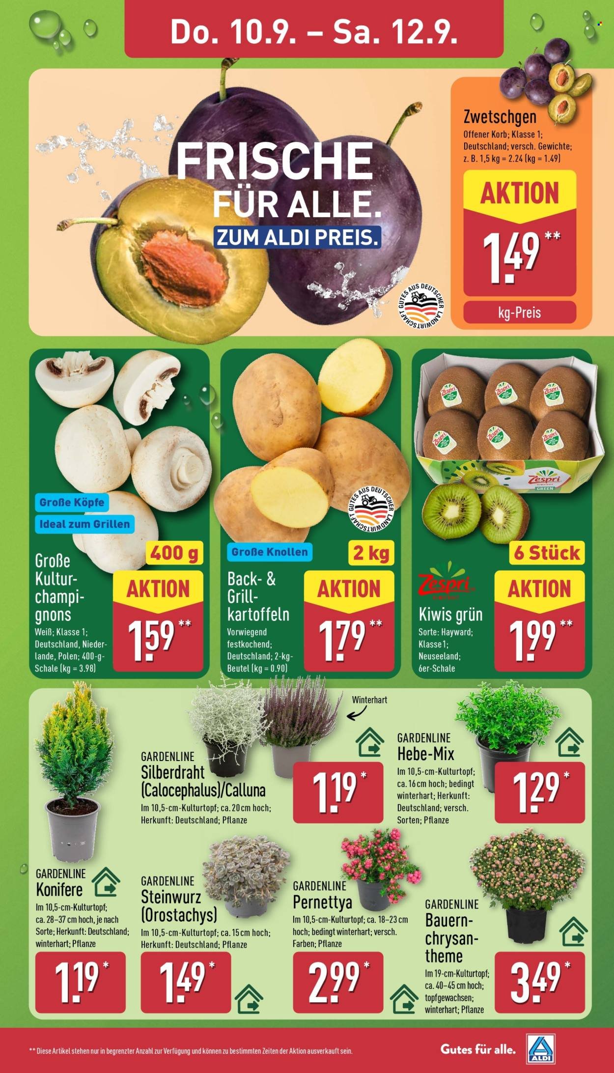 ALDI NORD Prospekt - Ab Montag 7.09.2026