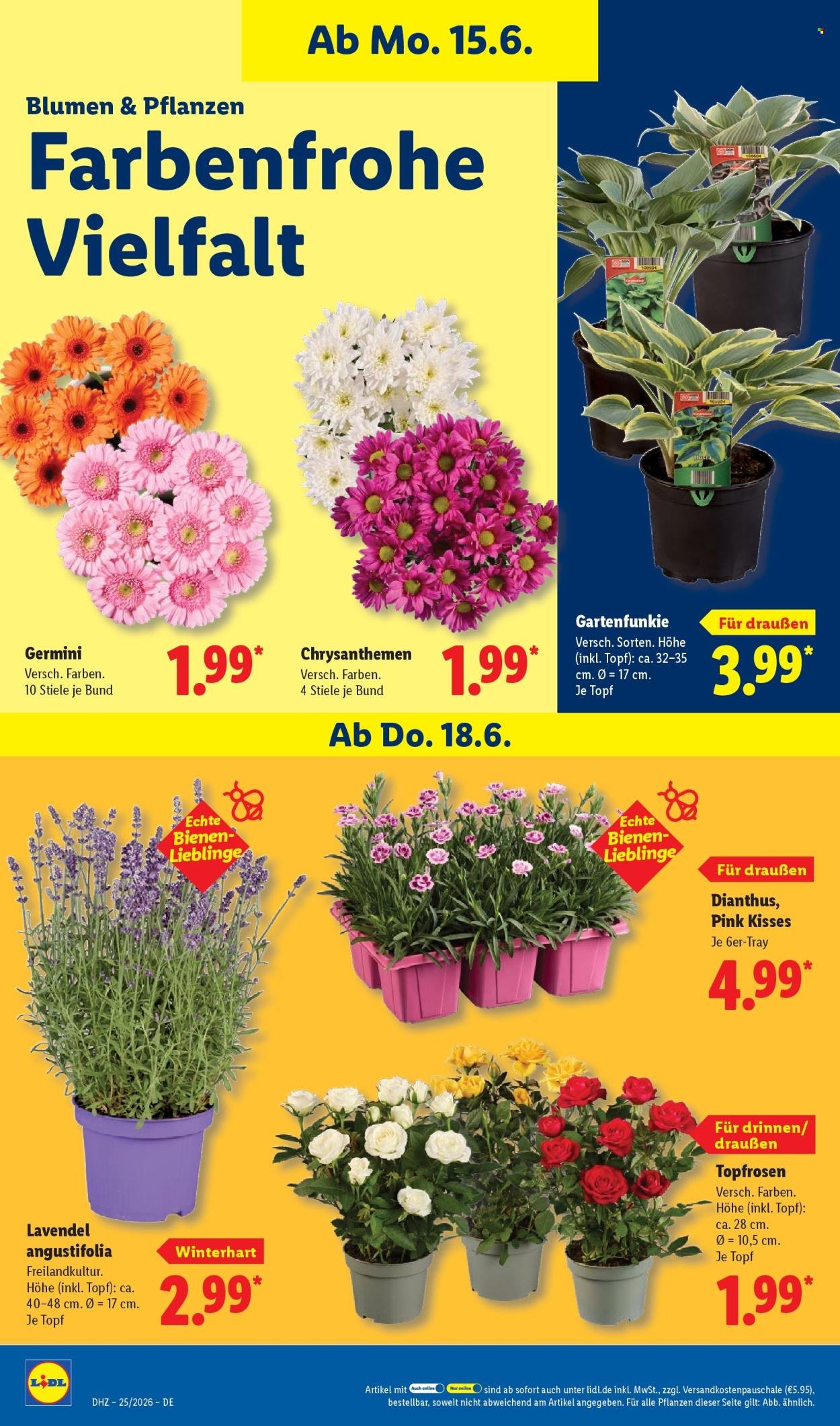 LIDL Prospekt - Ab Montag 15.06.2026
