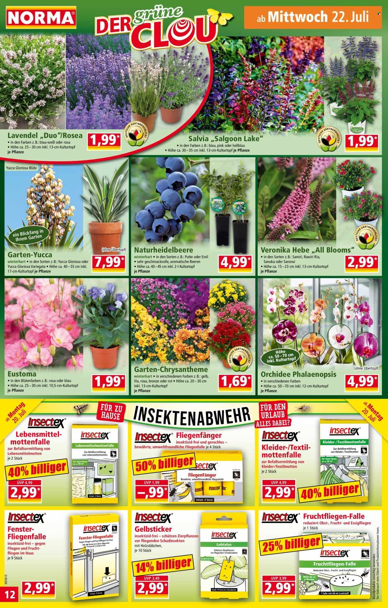NORMA Prospekt - Ab Montag 20.07.2026