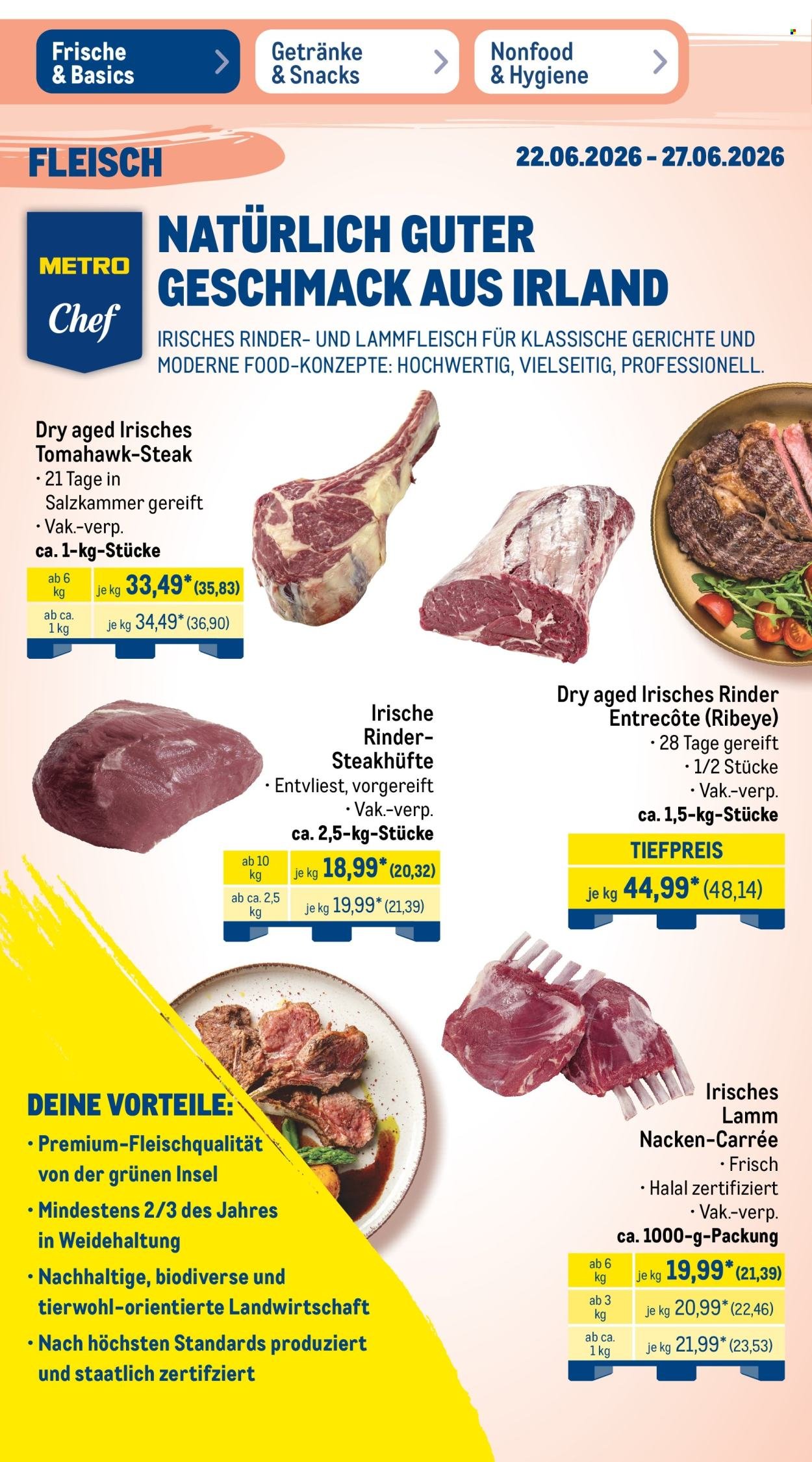 METRO Prospekt - NonFood-Angebote