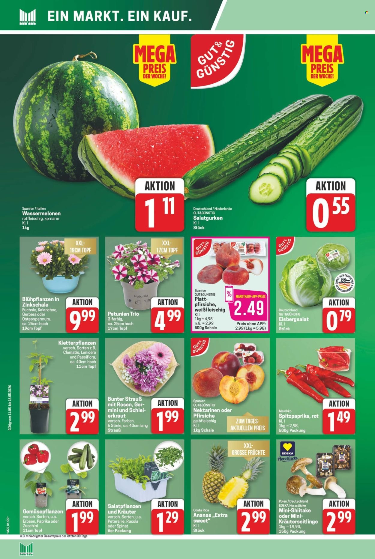 MARKTKAUF Prospekt - Ab Montag 11.05.2026 (2026-05-11 - 2026-05-16)