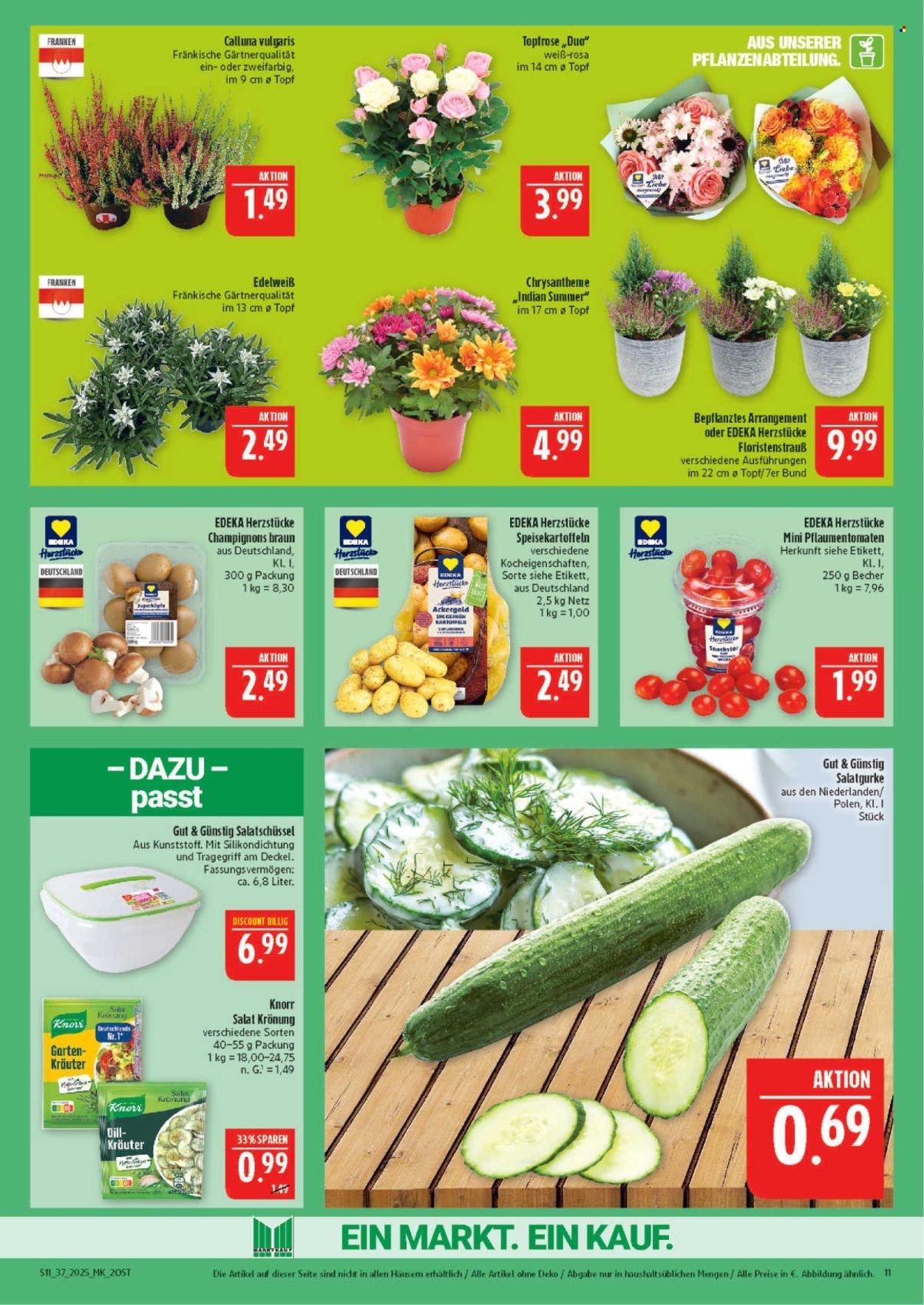 MARKTKAUF Prospekt - Ab Montag 8.09.2025 (2025-09-08 - 2025-09-13) | 11