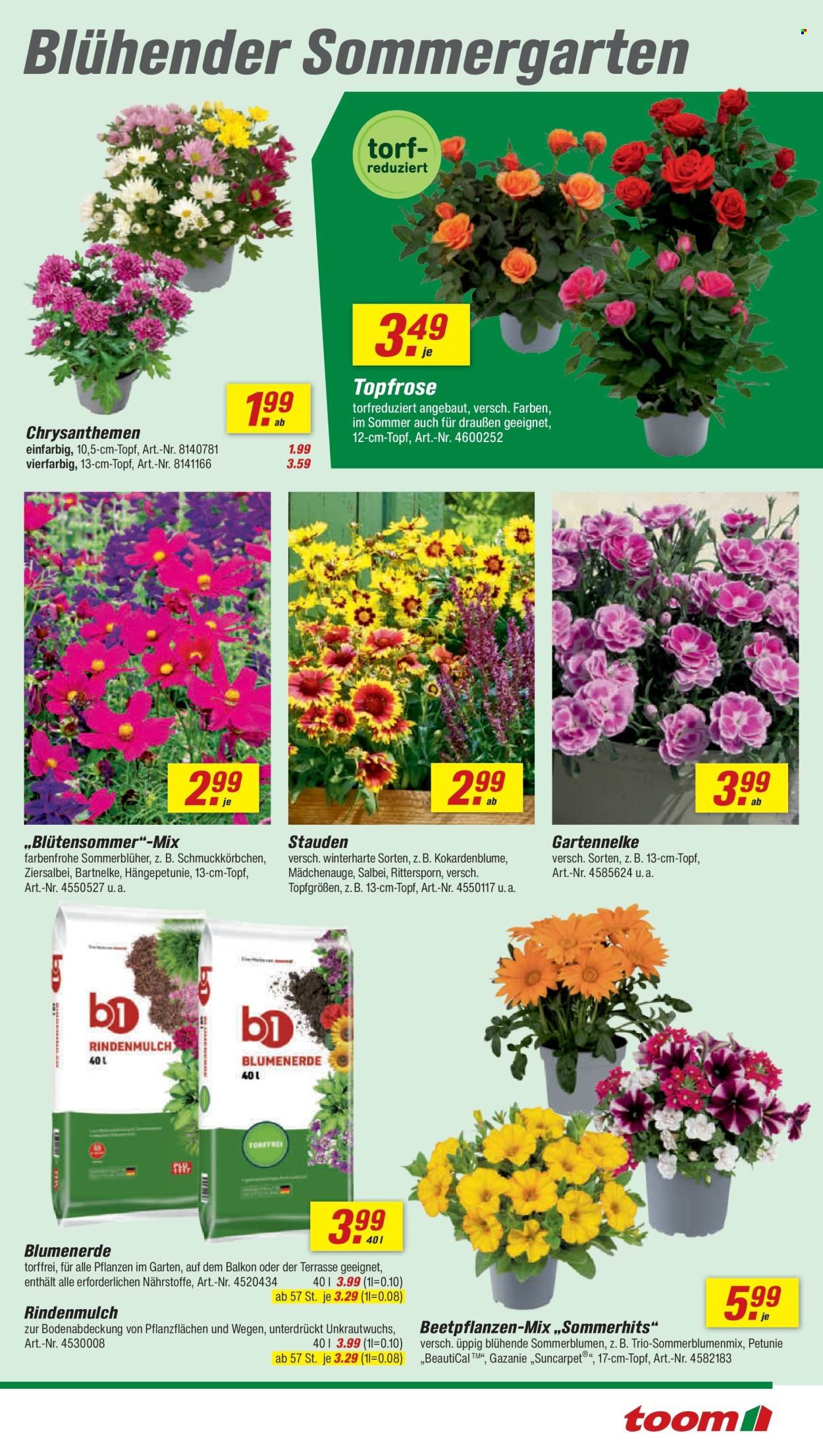 TOOM BAUMARKT Prospekt - Ab Samstag 13.06.2026