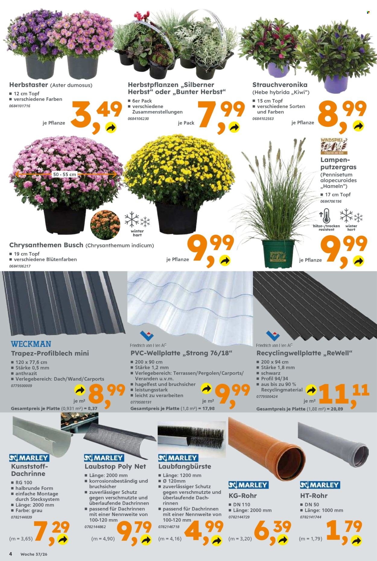 GLOBUS BAUMARKT Prospekt - Ab Montag 7.09.2026