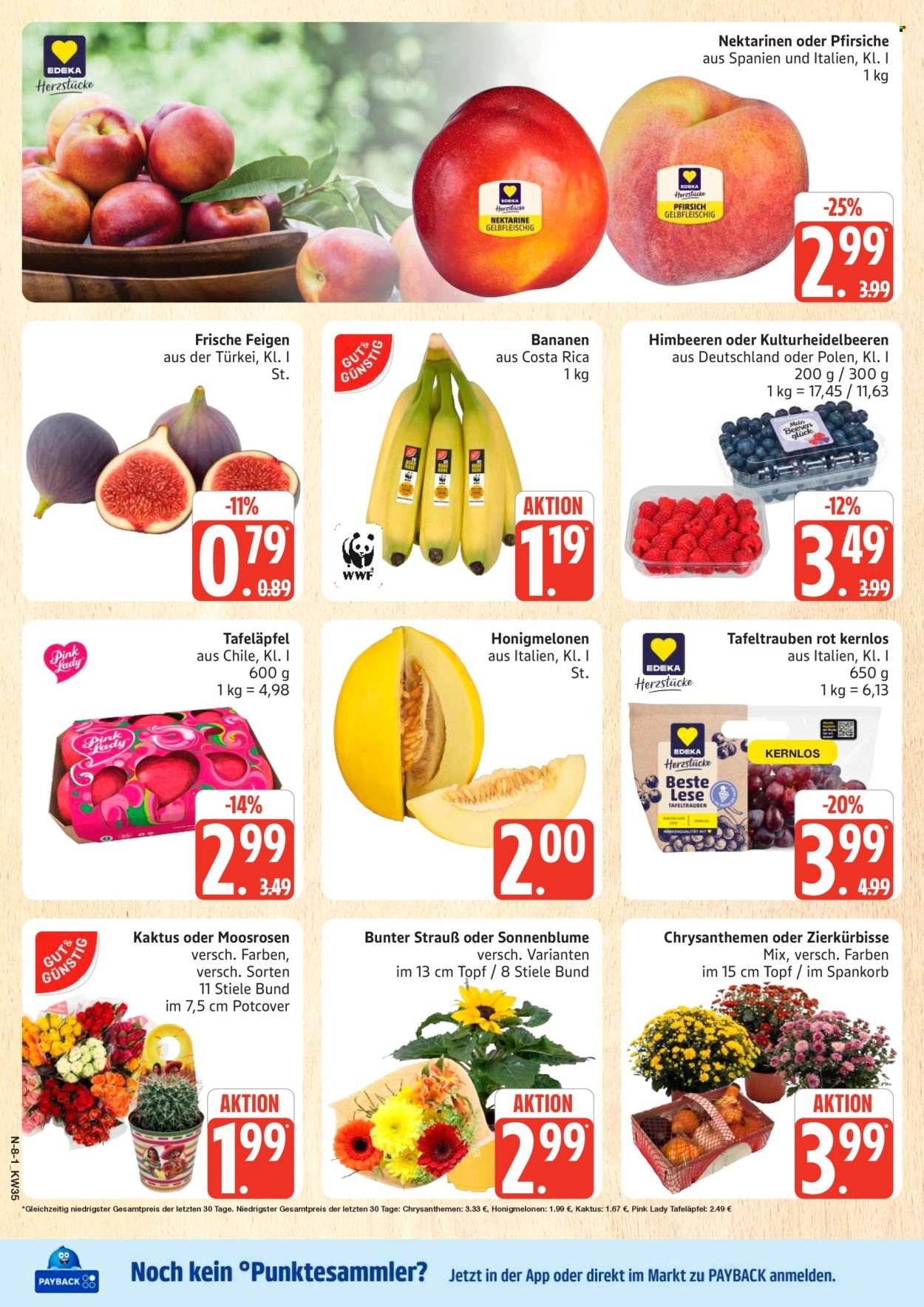 MARKTKAUF Prospekt - Ab Montag 24.08.2026