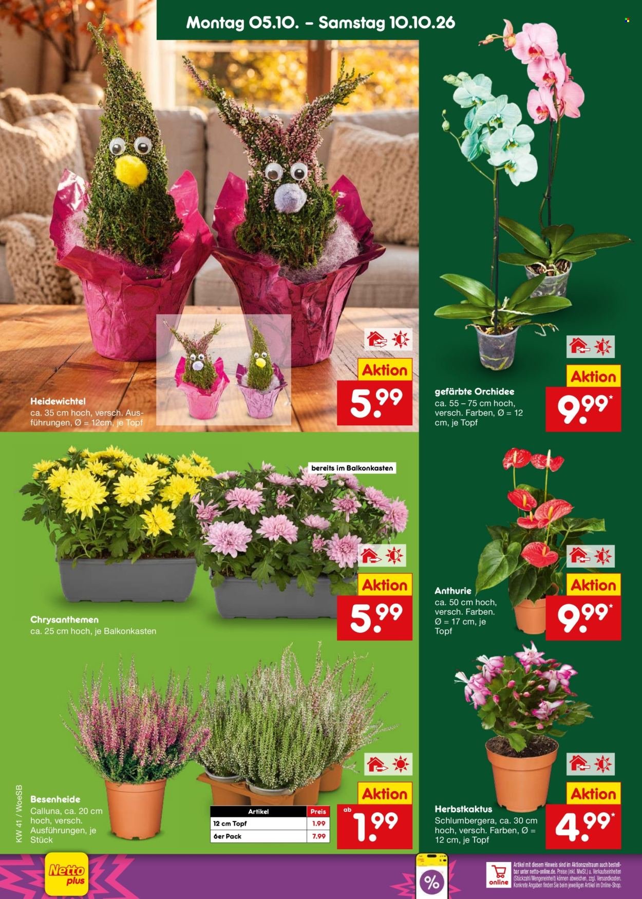 NETTO MARKEN-DISCOUNT Prospekt - Ab Montag 5.10.2026