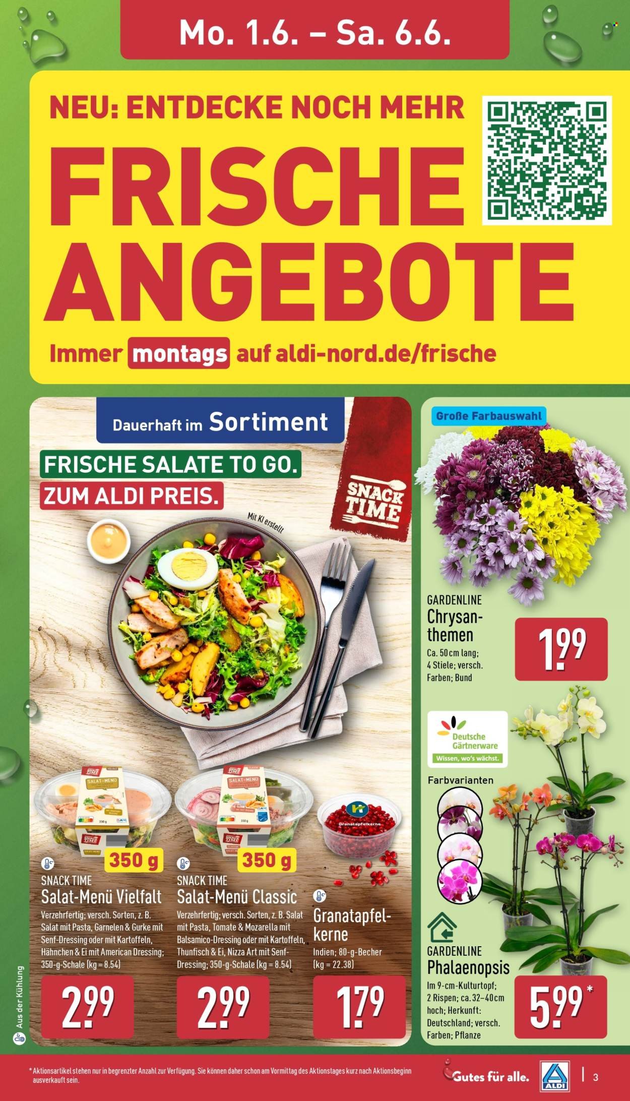 ALDI NORD Prospekt - Ab Montag 1.06.2026 (2026-06-01 - 2026-06-06)
