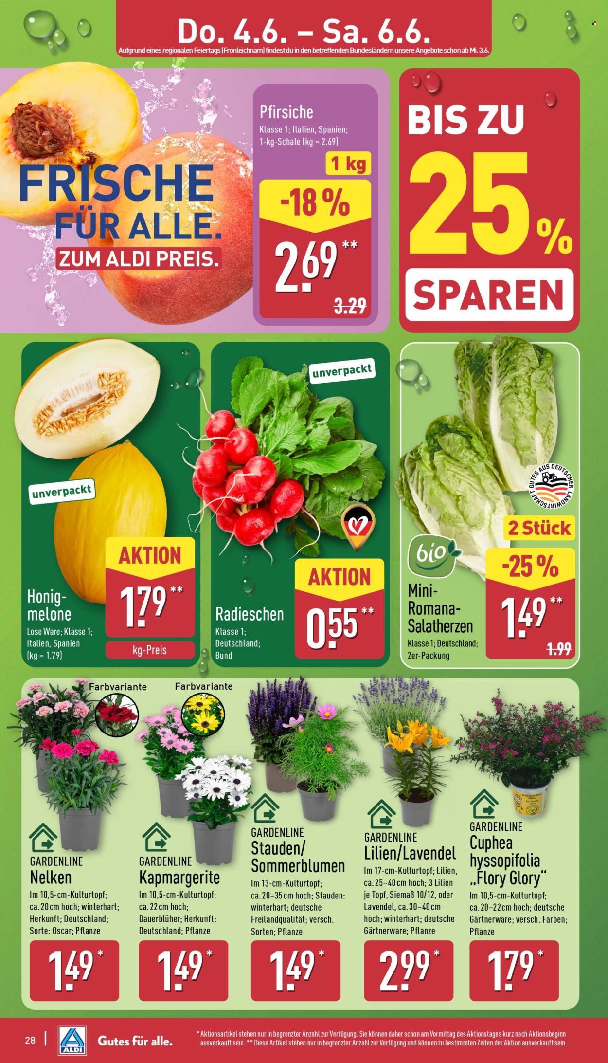 ALDI NORD Prospekt - Ab Montag 1.06.2026 (2026-06-01 - 2026-06-06)