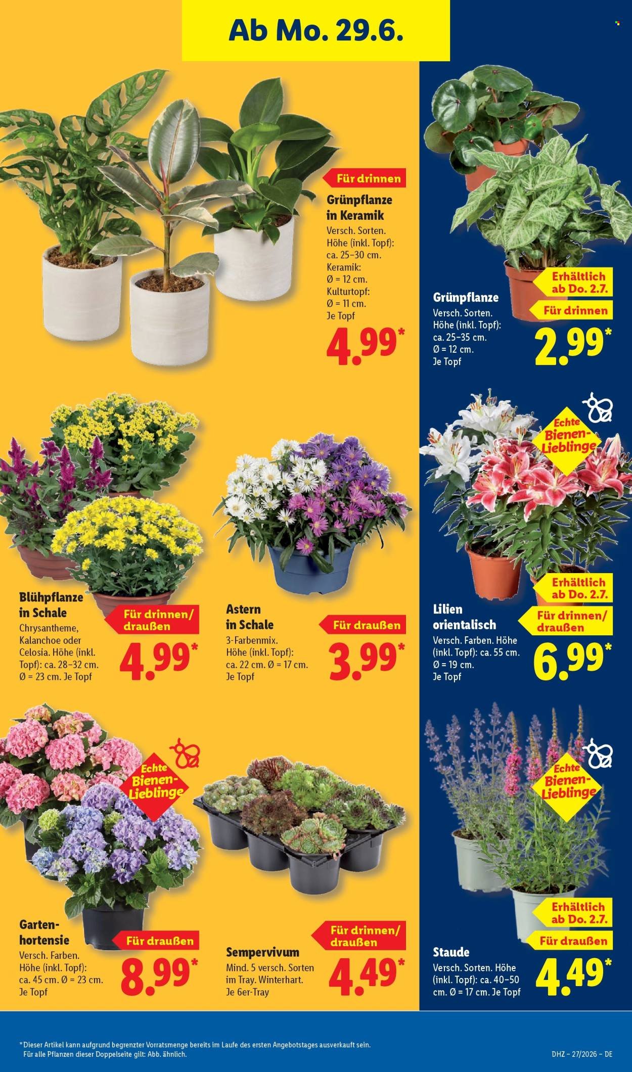 LIDL Prospekt - Ab Montag 29.06.2026