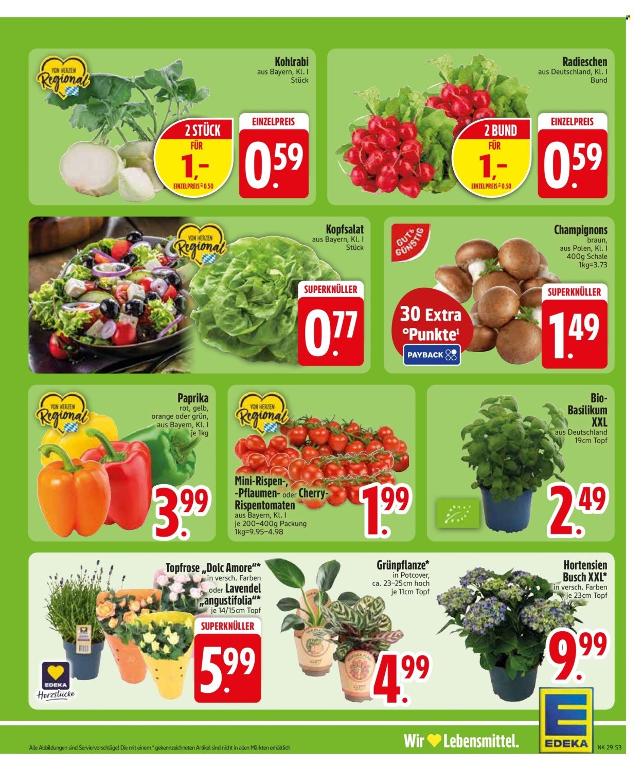EDEKA Prospekt - Ab Montag 13.07.2026