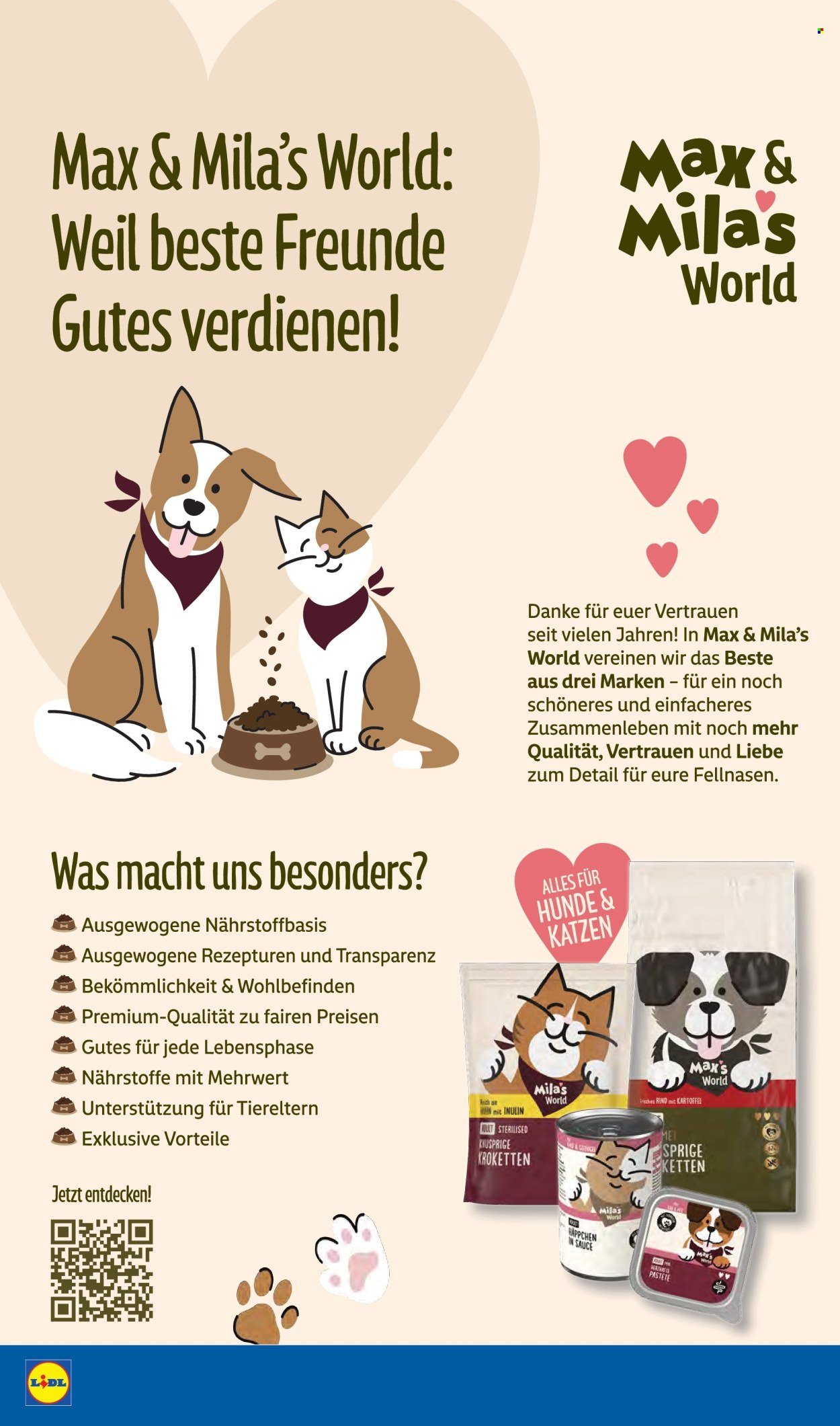 LIDL Prospekt - Ab Montag 26.10.2026